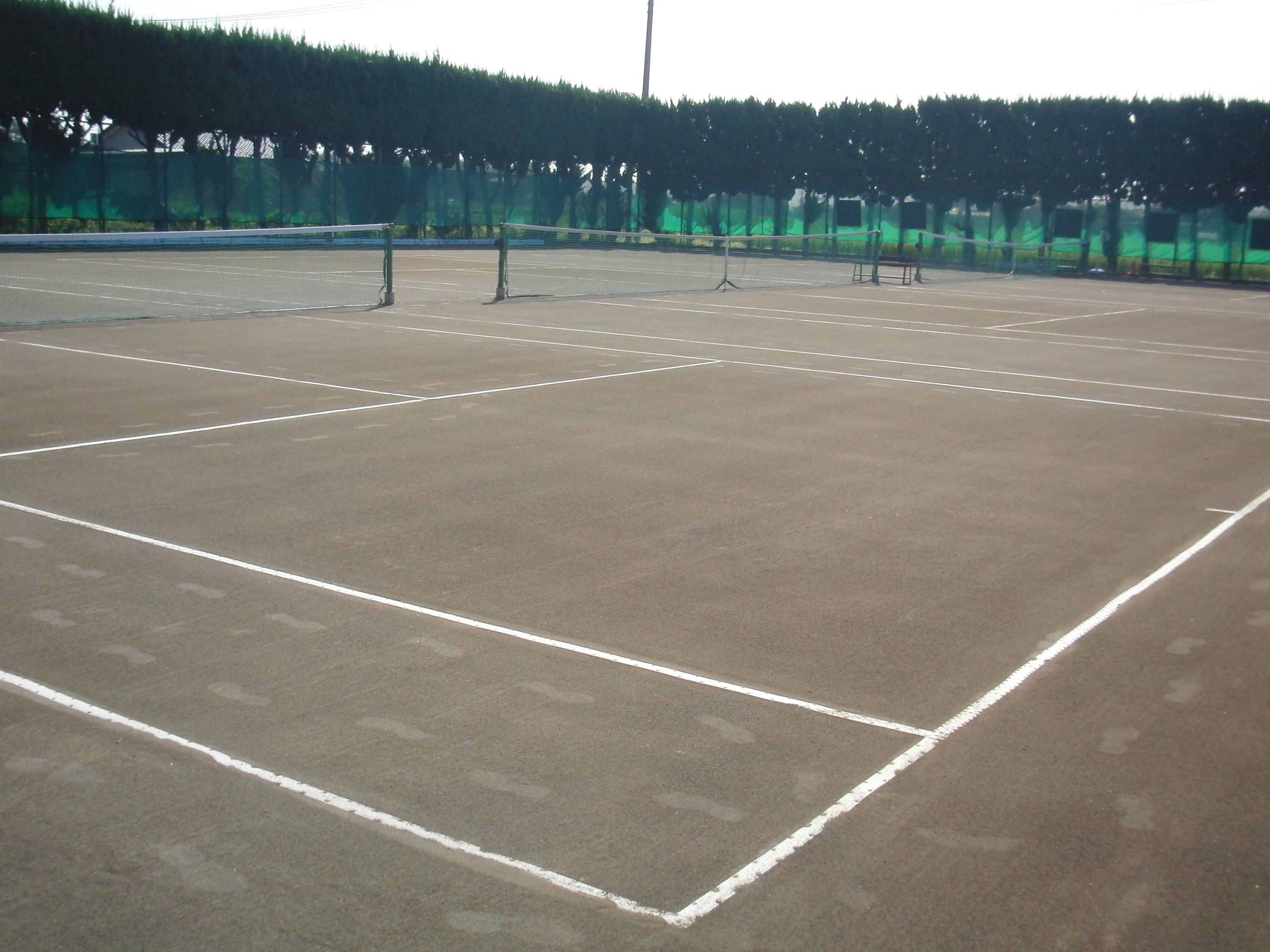 アクティブテニス幸手 権現堂教室のサムネイル画像 2