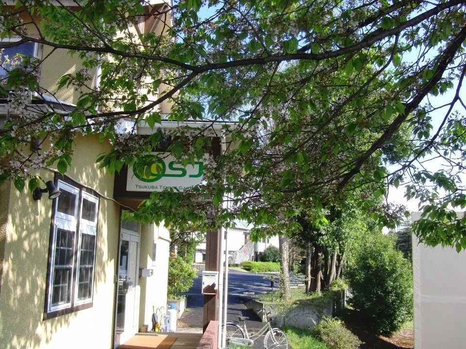 CSJつくばテニスガーデン 水堀教室のメイン画像