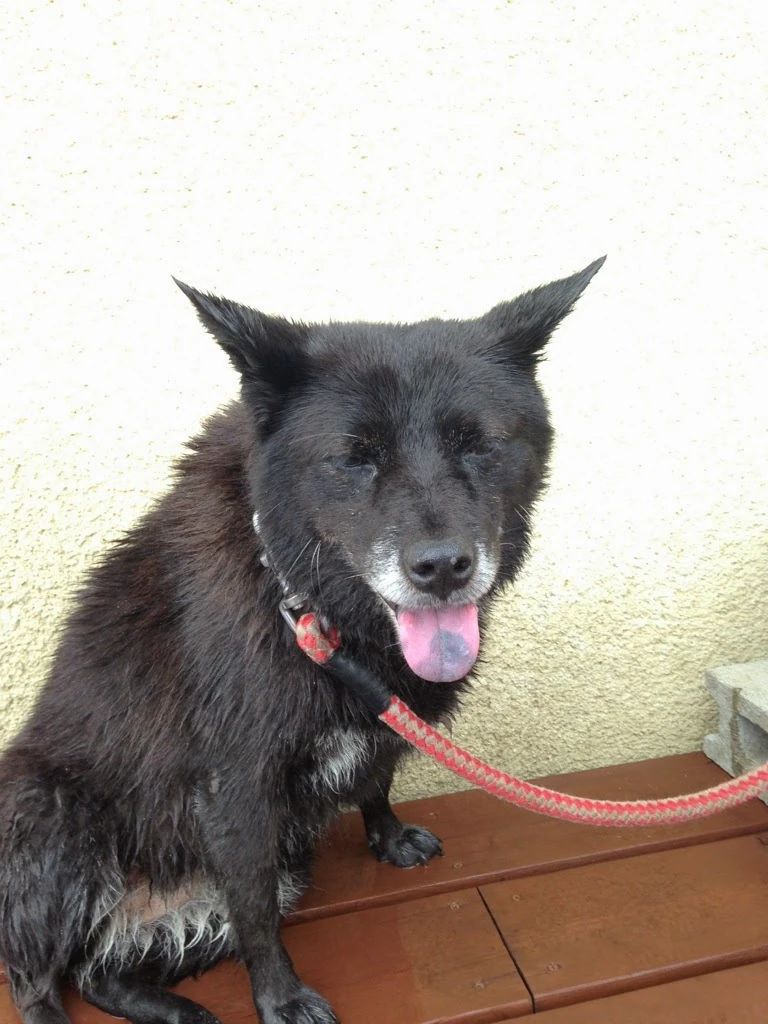 CSJつくばテニスガーデン 水堀教室のサムネイル画像 2