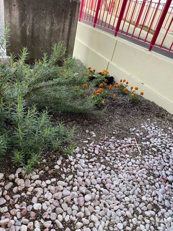 ニッケインドアテニス 日進のサムネイル画像 2