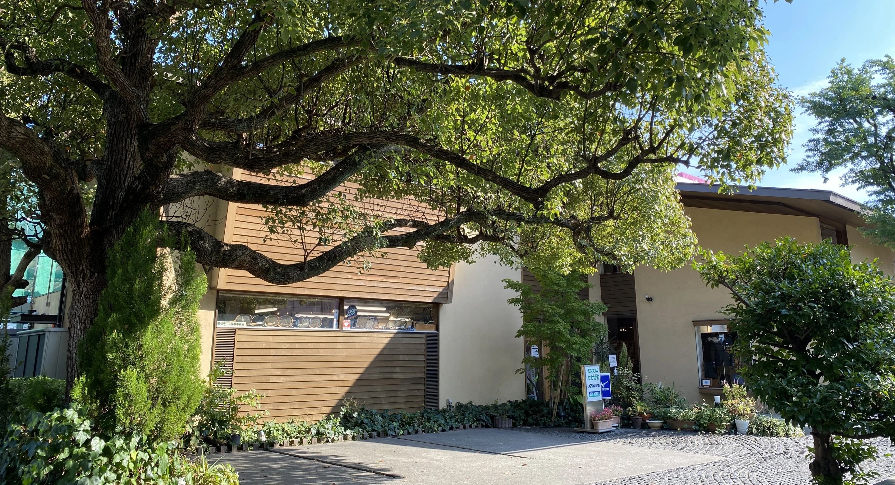 たけがわテニススクール 菰口町教室のサムネイル画像 2