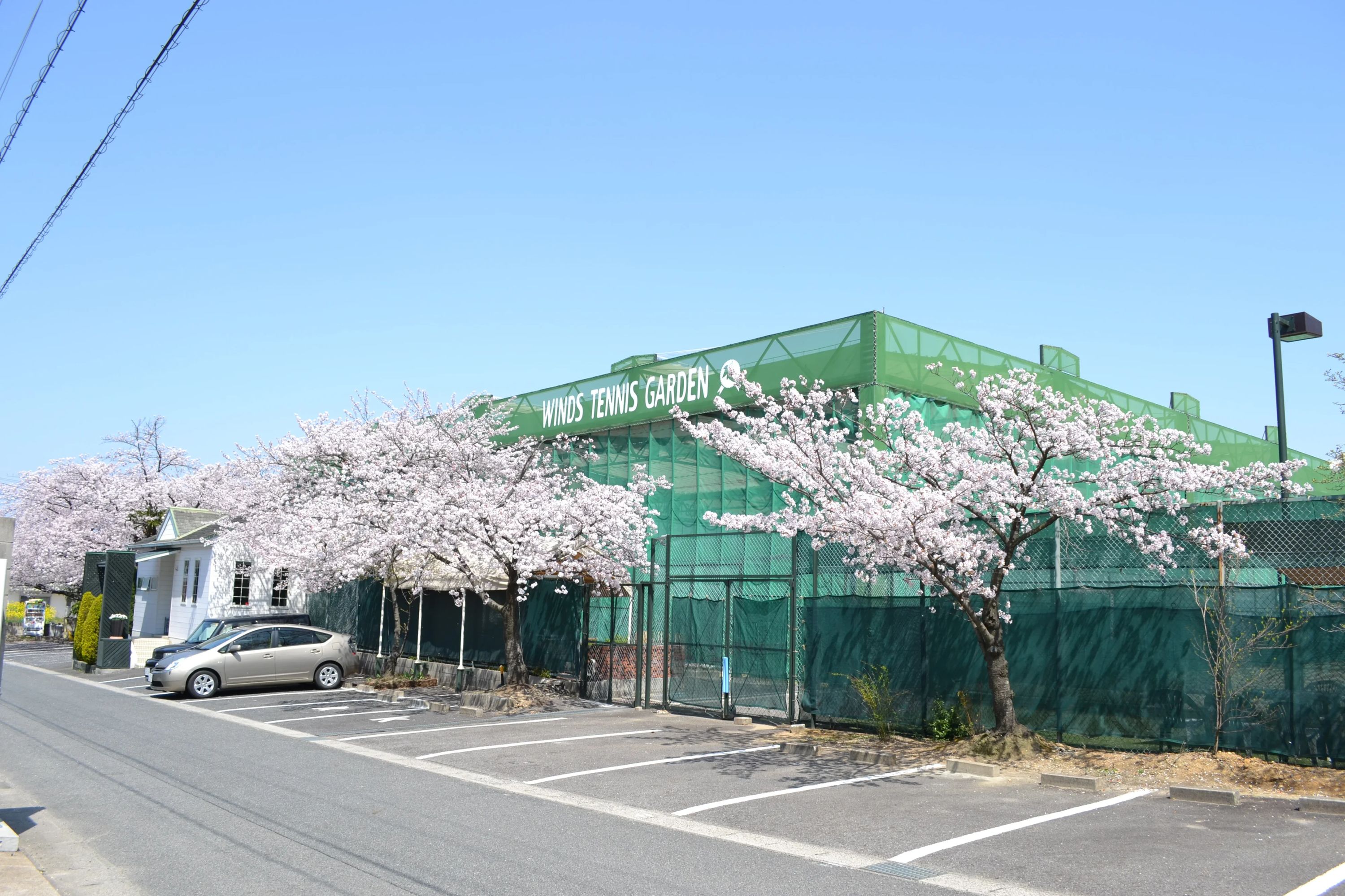 ウインズテニスガーデン 大根教室のメイン画像