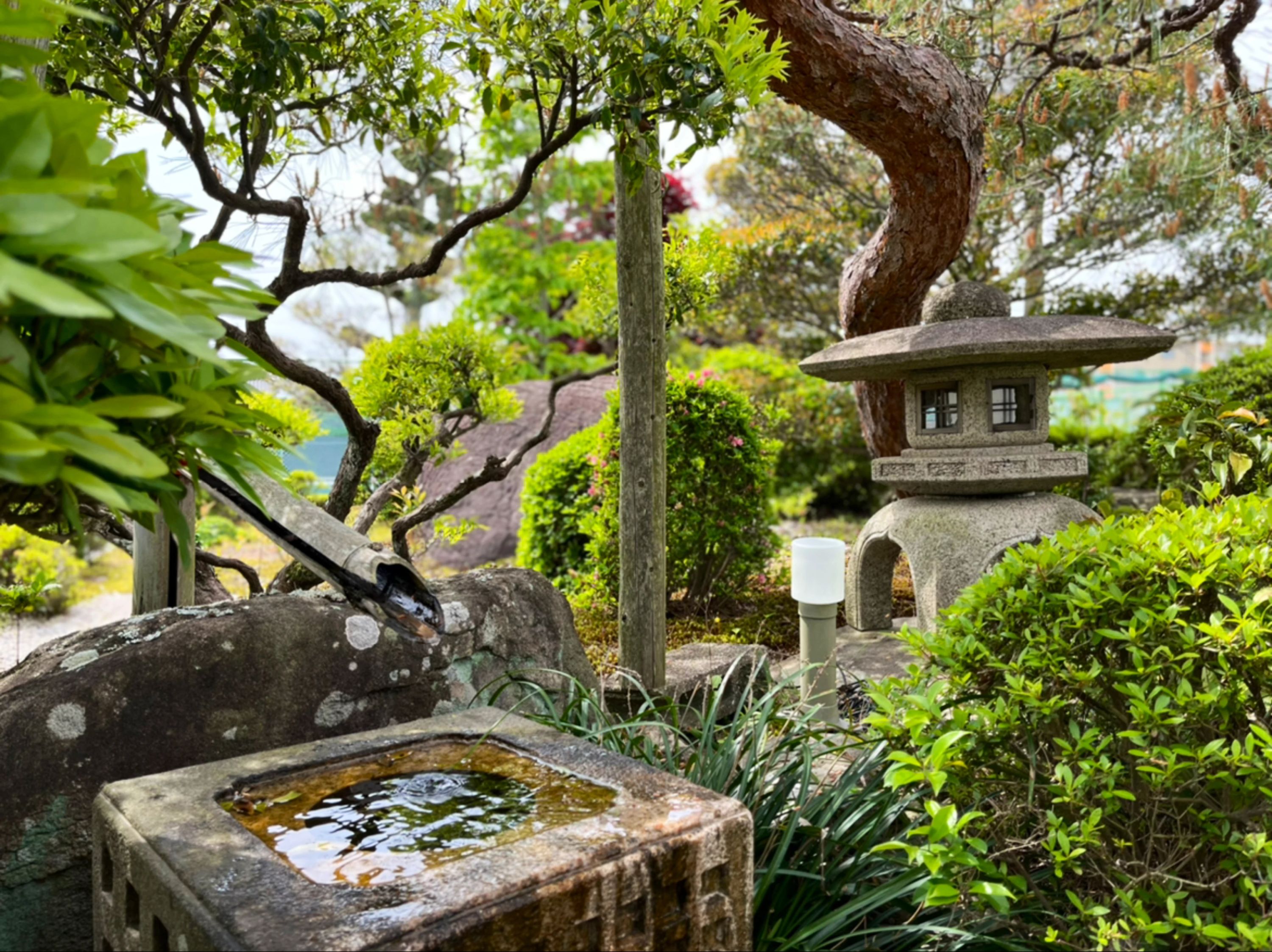 旭ヶ丘テニスクラブ 本校のメイン画像