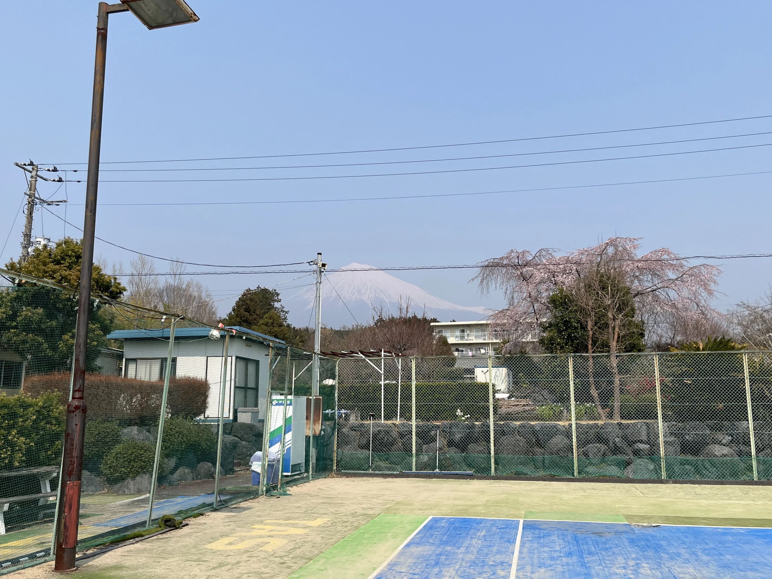 テニスアカデミースワベ 小泉教室のサムネイル画像 5