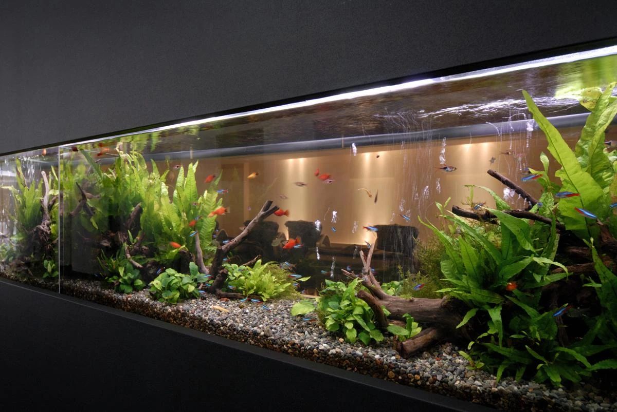 ザバススポーツクラブ テニス 高槻教室のサムネイル画像 3