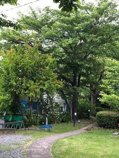 MTS テニス 大阪校のサムネイル画像 4