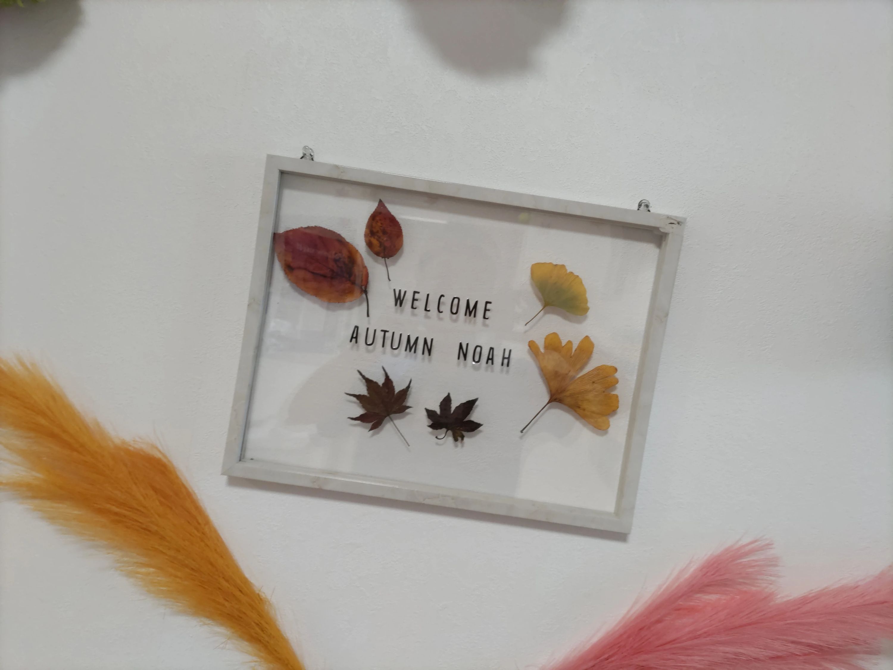 テニススクール・ノア 尼崎つかしん校のサムネイル画像 4