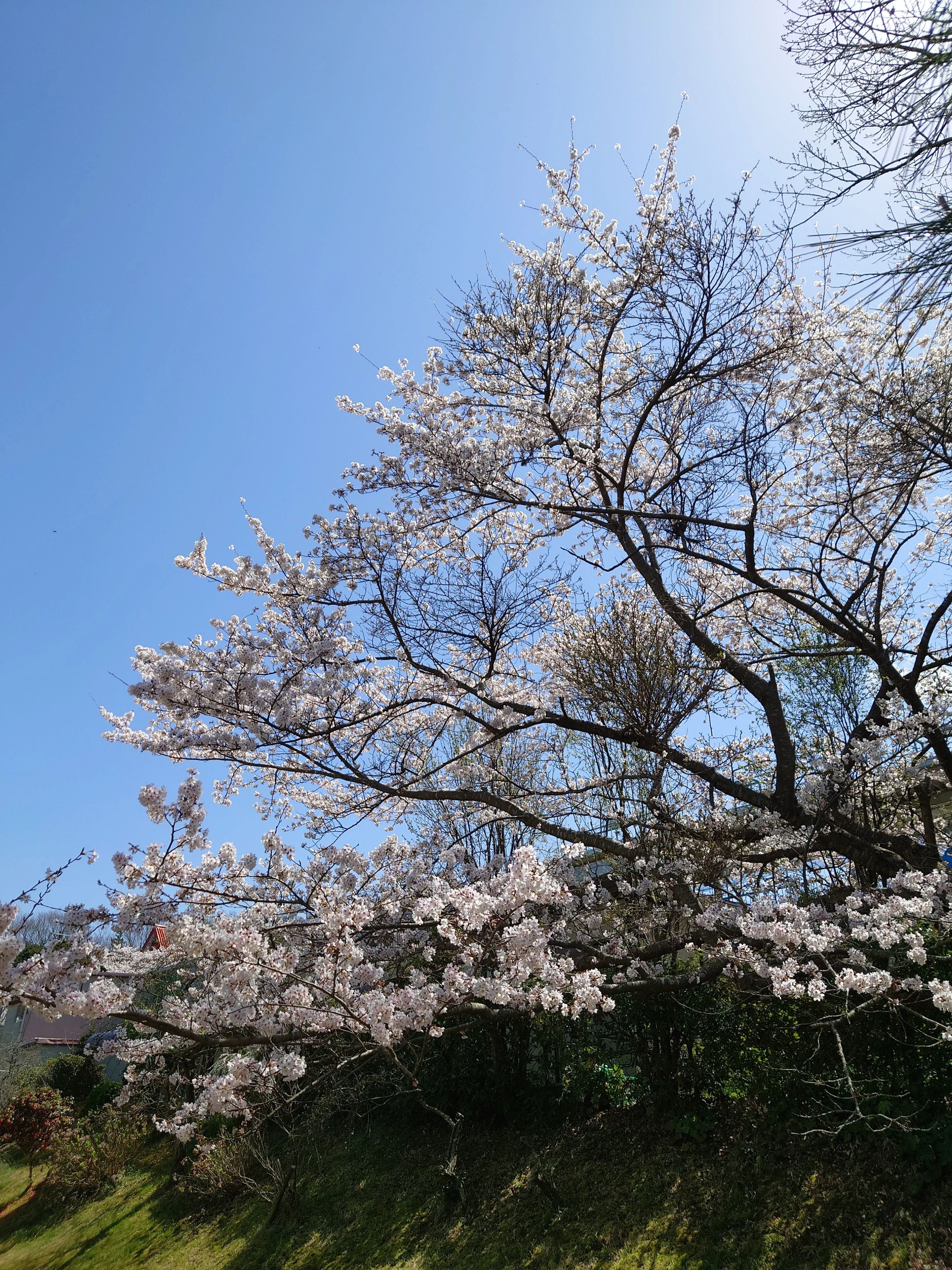 星和高原テニスクラブ 星和台教室のサムネイル画像 5