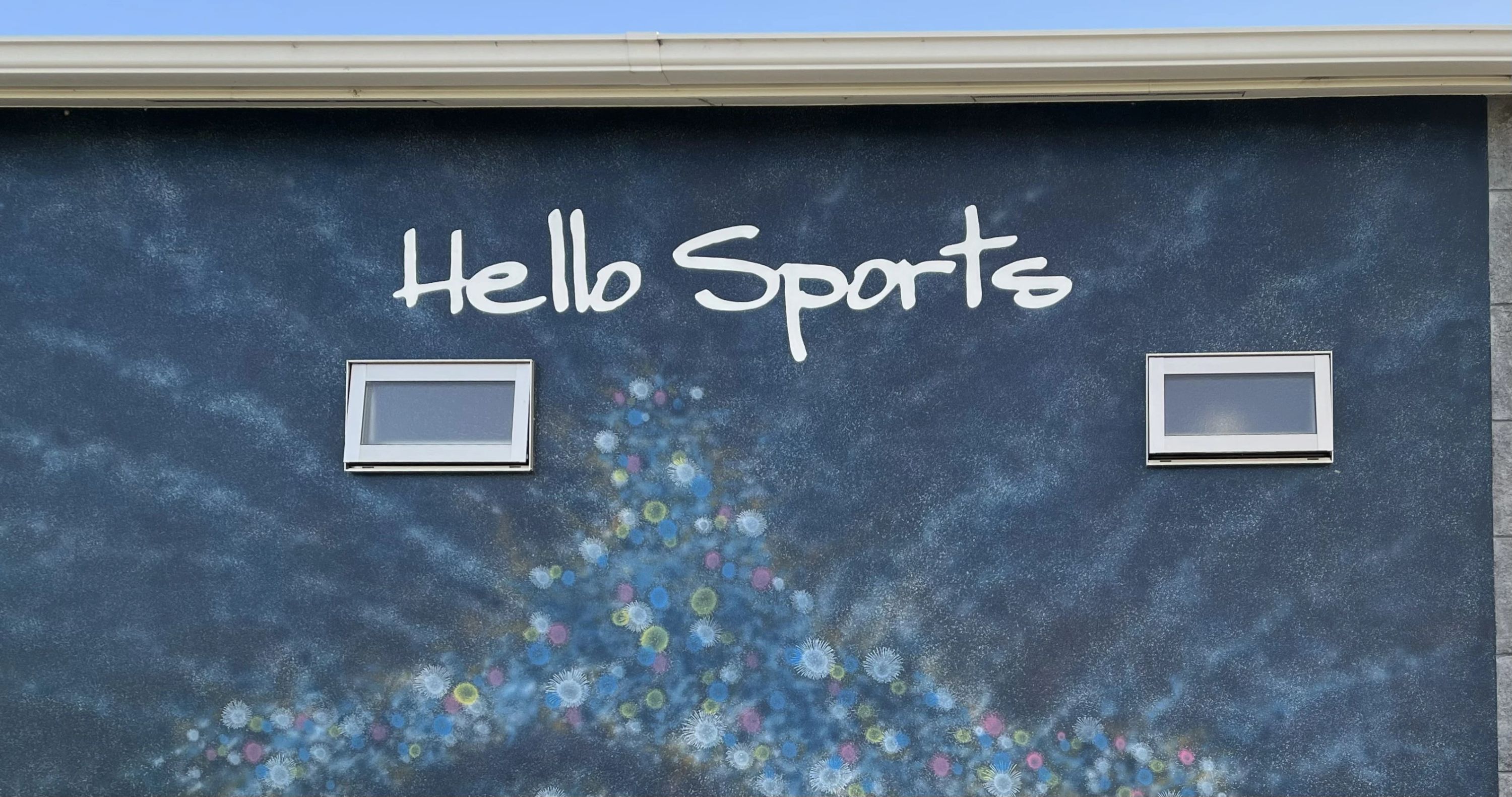 ハロースポーツ テニス 田辺蕪木教室のサムネイル画像 5