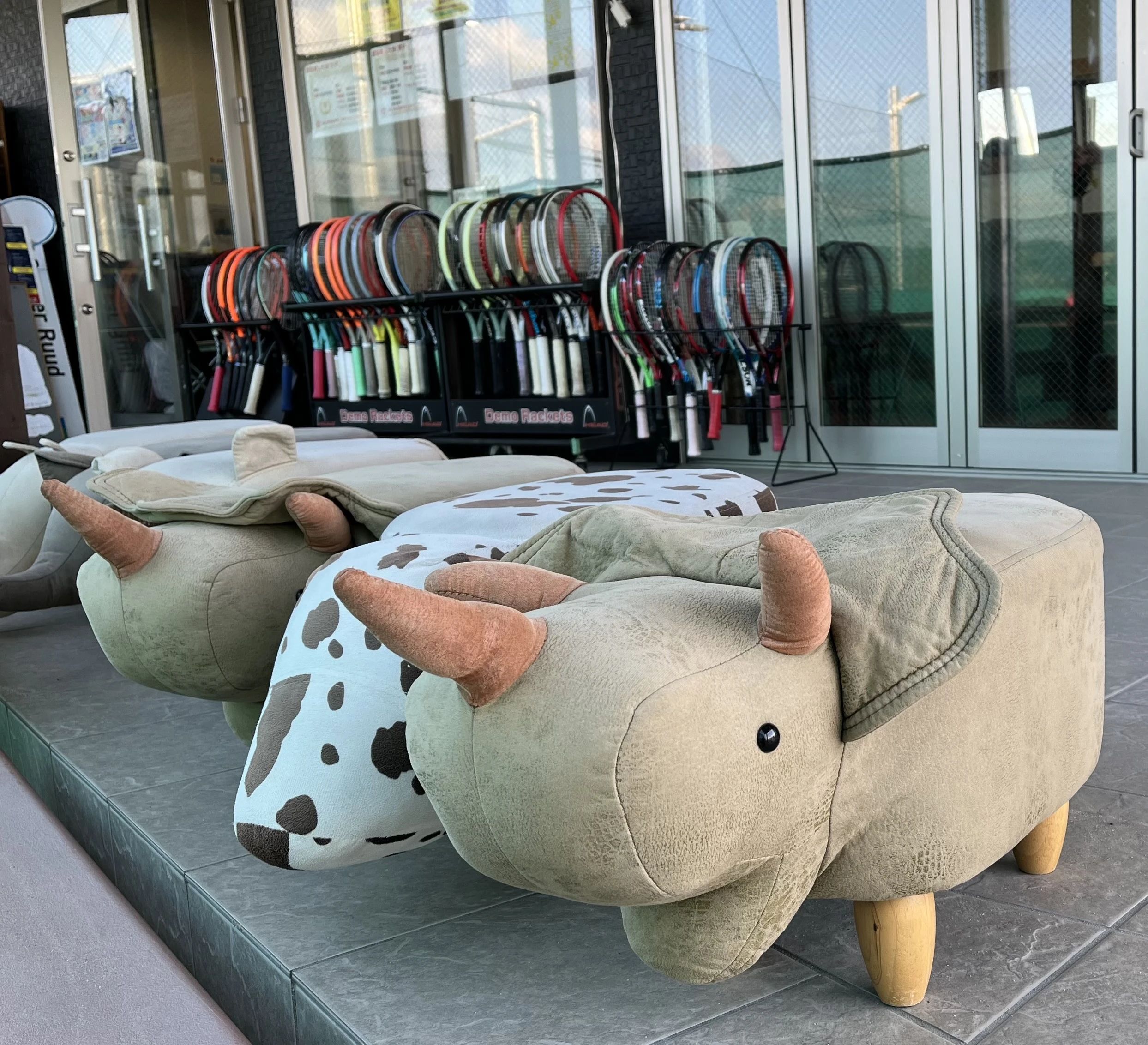 ハロースポーツ テニス 田辺蕪木教室のサムネイル画像 3