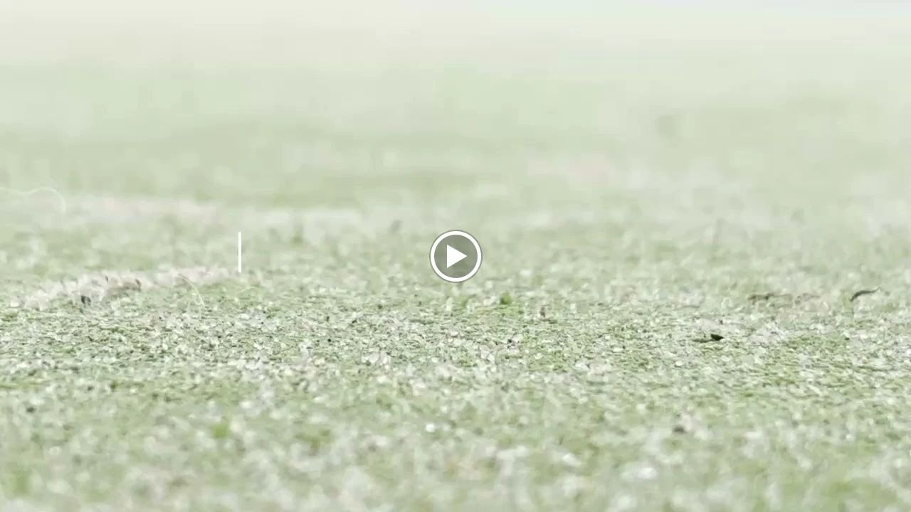 YELLTennisAcademyエールテニスアカデミー 法蓮町教室のメイン画像