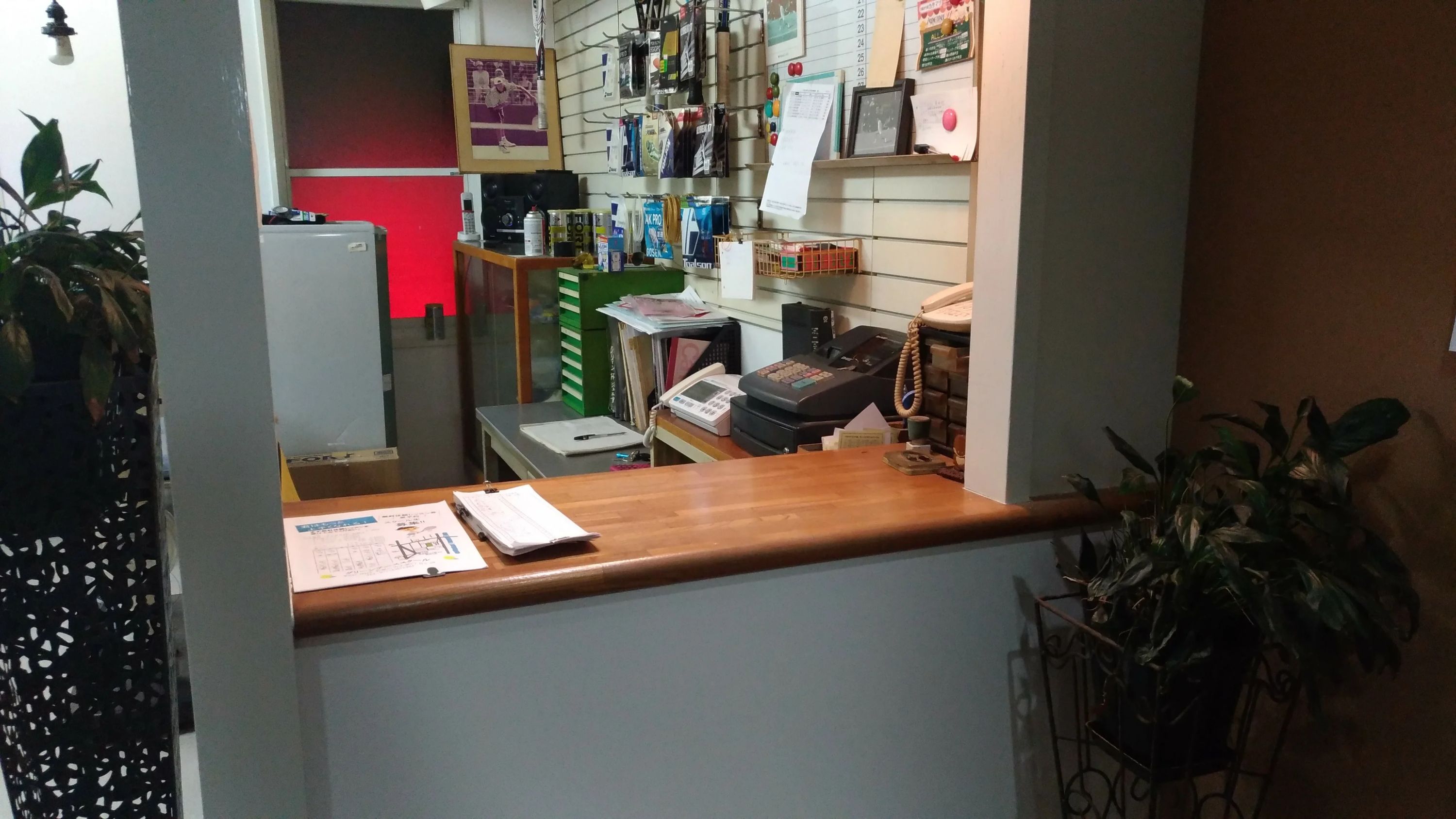 ワカヤマグリーンテニスクラブ 宇須教室のサムネイル画像 4