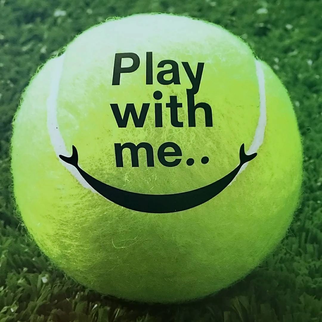 春日西テニスクラブ 本校のサムネイル画像 2