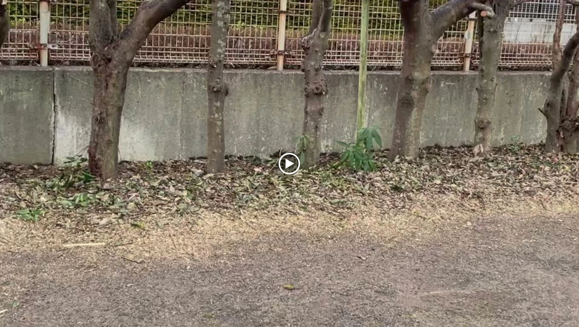 テニスクラブ・クラブハウスイワキリ 五十町校のメイン画像