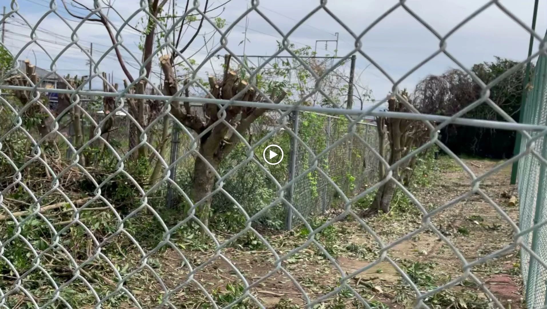 テニスクラブ・クラブハウスイワキリ 五十町校のサムネイル画像 3