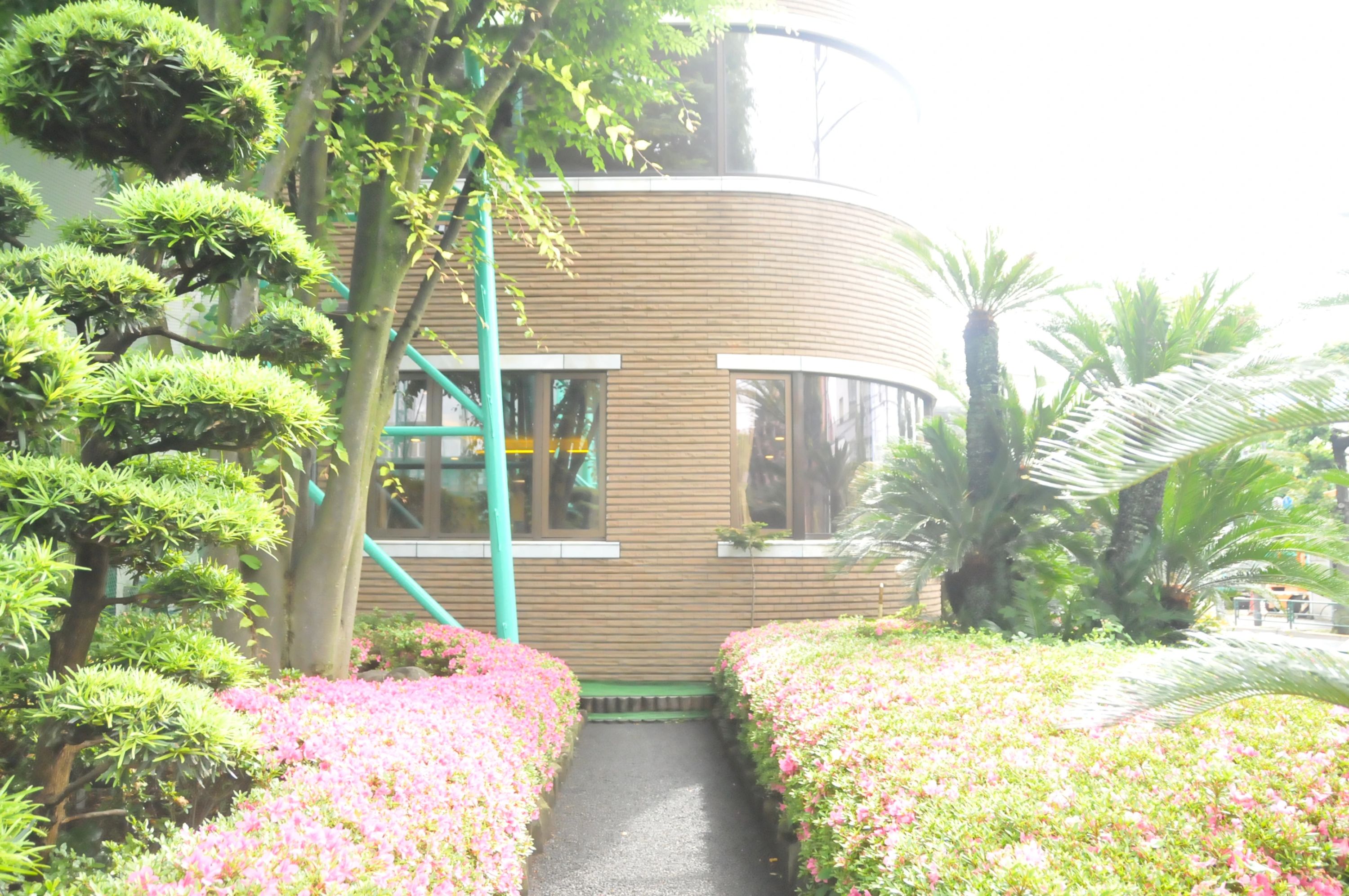 ニュー成城ゴルフセンター 喜多見教室のサムネイル画像 3