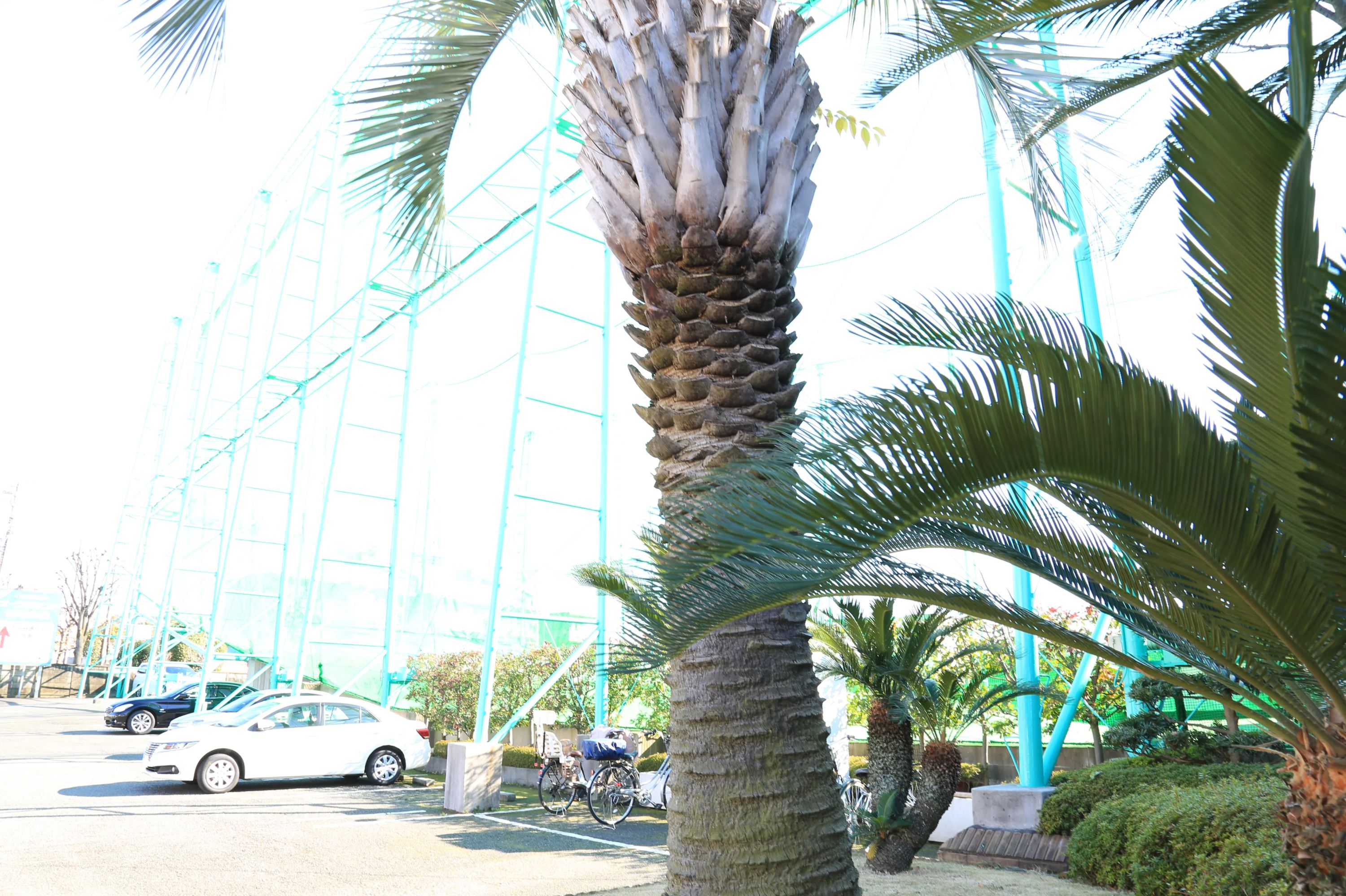 ニュー成城ゴルフセンター 喜多見教室のサムネイル画像 4