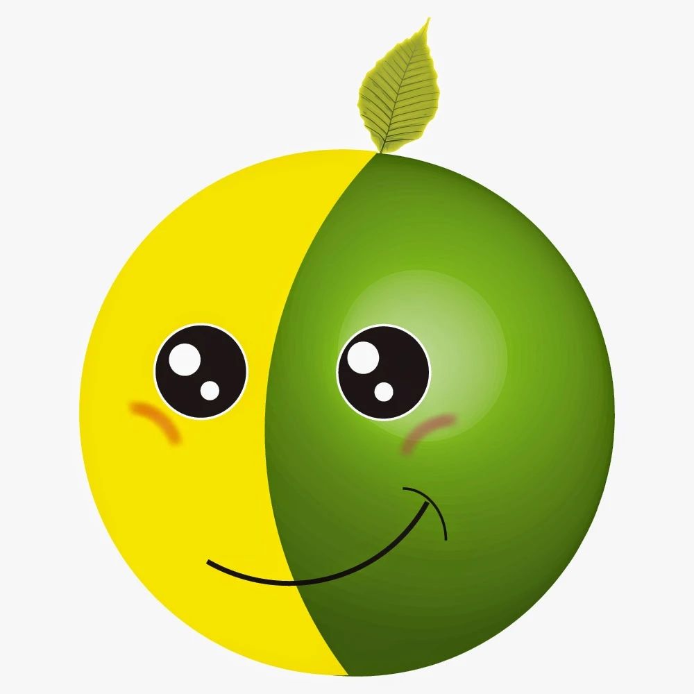 市川中央柔道クラブ 本校のメイン画像