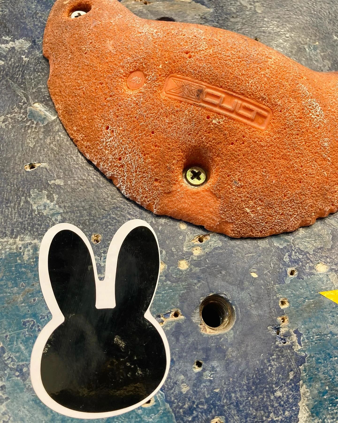 カメロパルダリス ボルダリング 東町教室のメイン画像