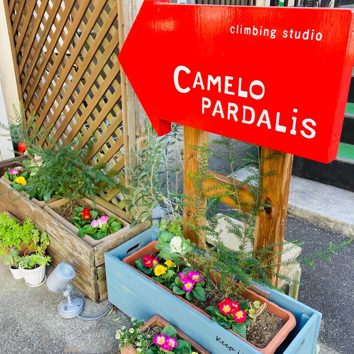 カメロパルダリス ボルダリング 東町教室のサムネイル画像 3