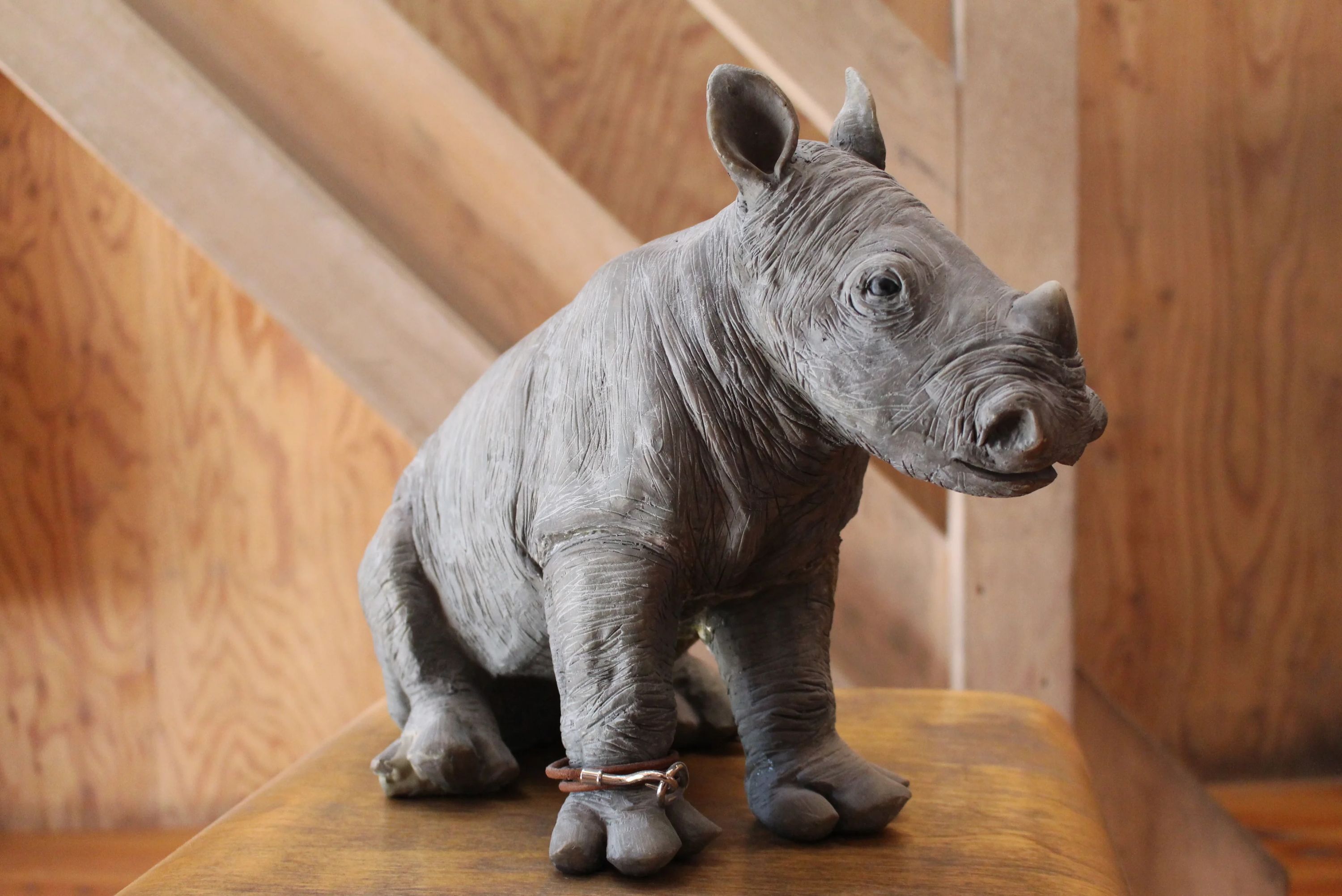 ライノ＆バード ボルダリング 西日暮里教室のサムネイル画像 5