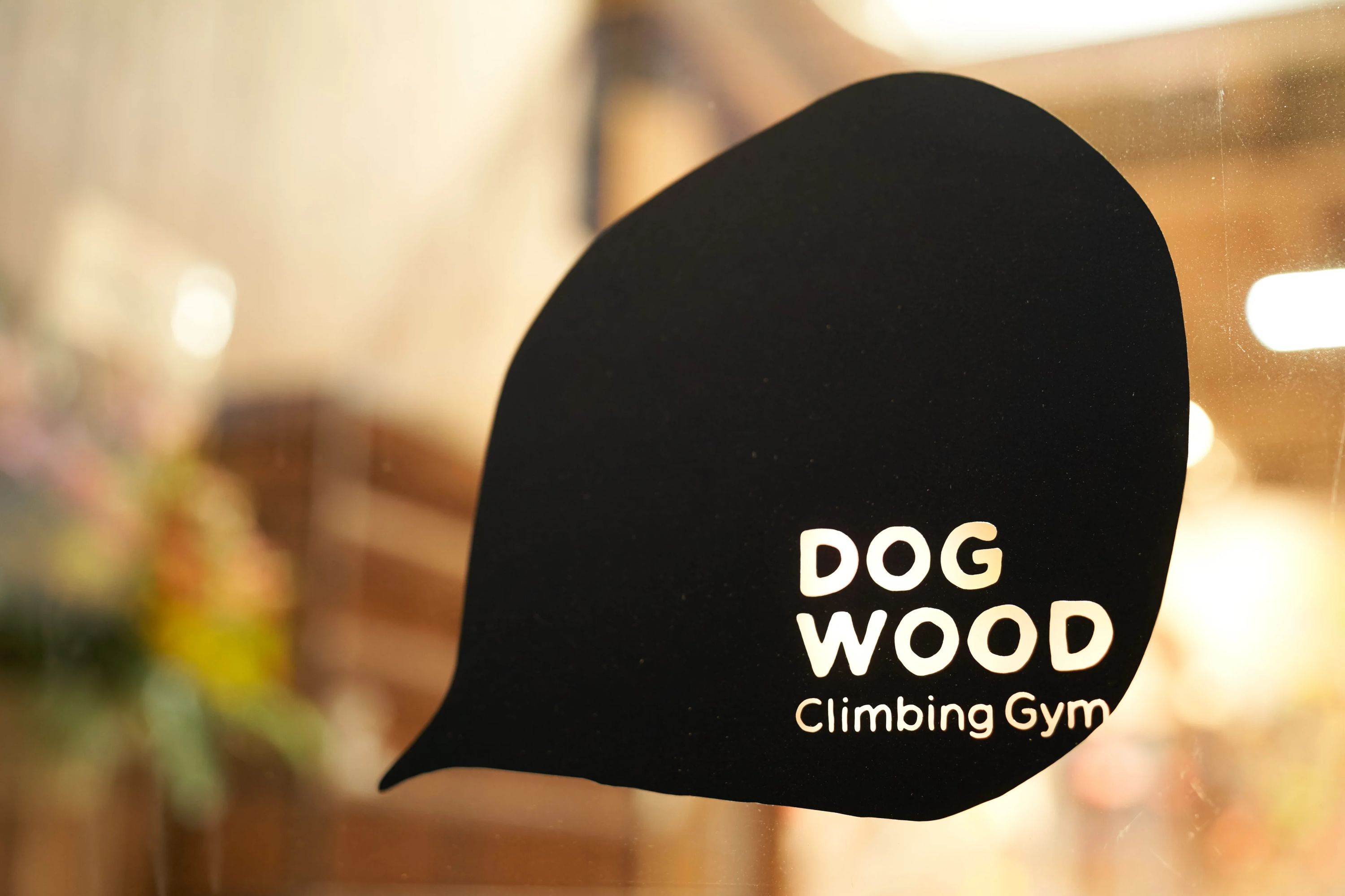 DOGWOODクライミングジム ボルダリング 調布店のサムネイル画像 2