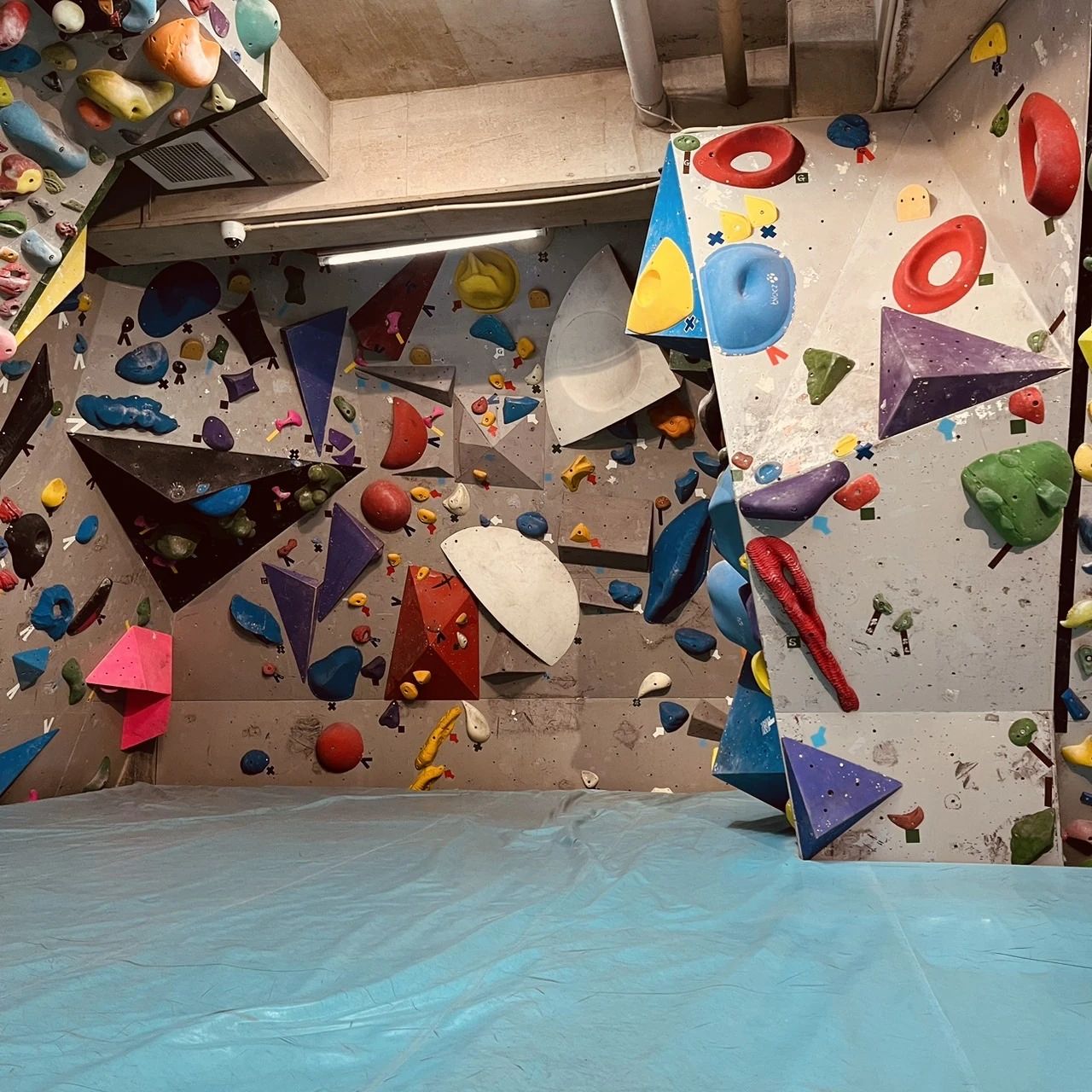 ディーボルダリング 西八王子店のサムネイル画像 4