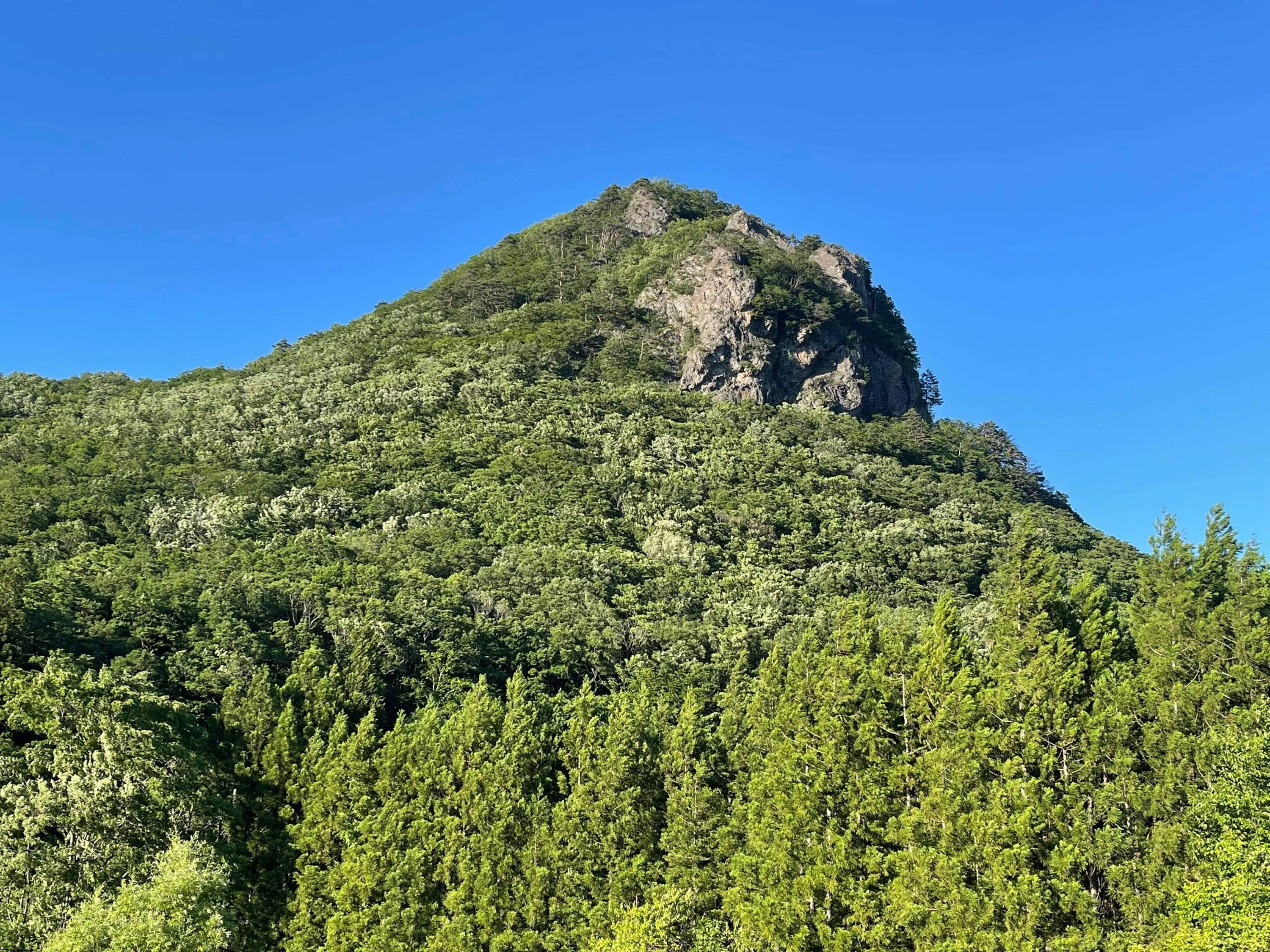 ベータクライミングジム ボルダリング 住吉教室のサムネイル画像 3