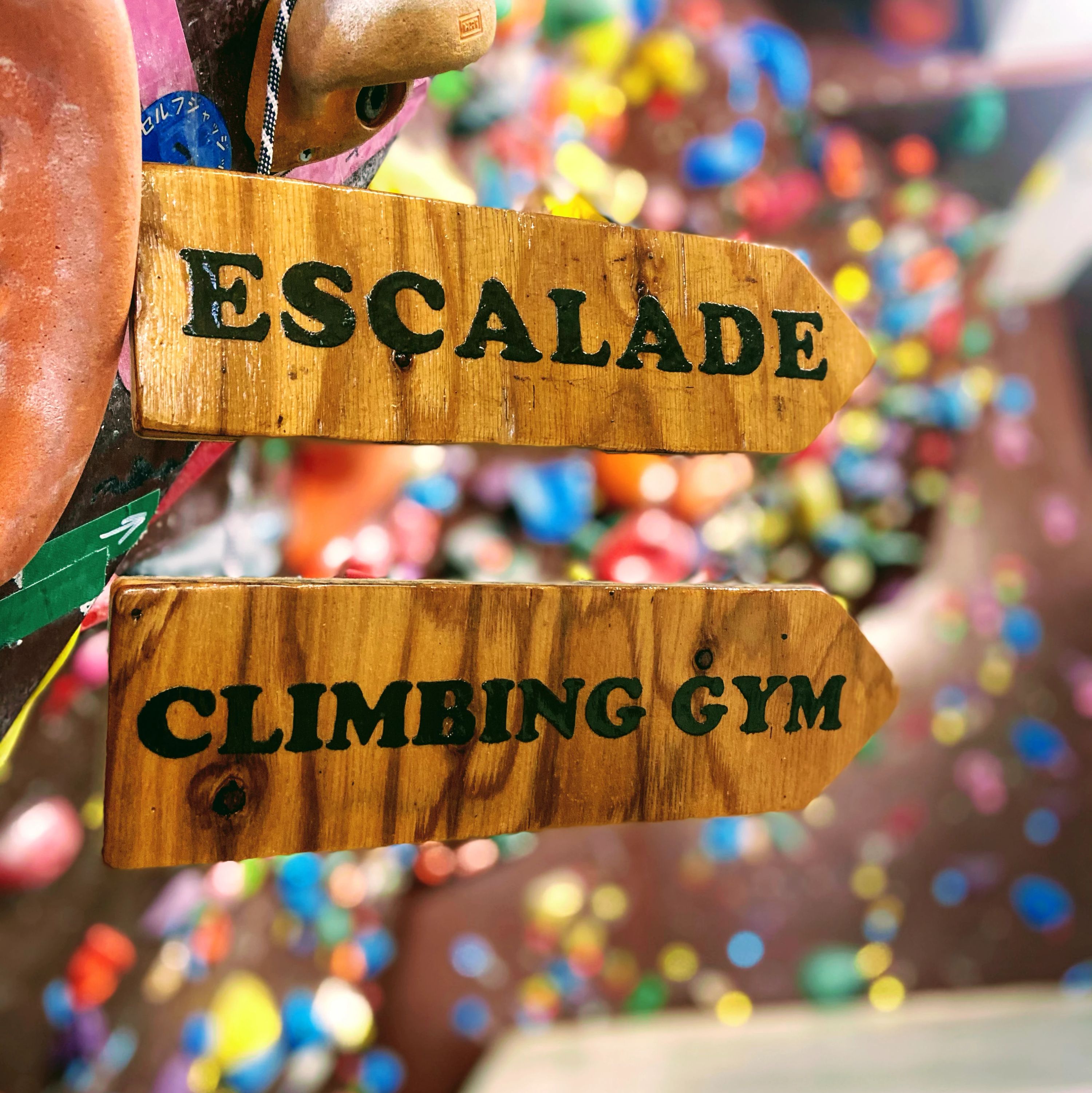 エスカラードクライミングジム ボルダリング 西新宿教室のサムネイル画像 3