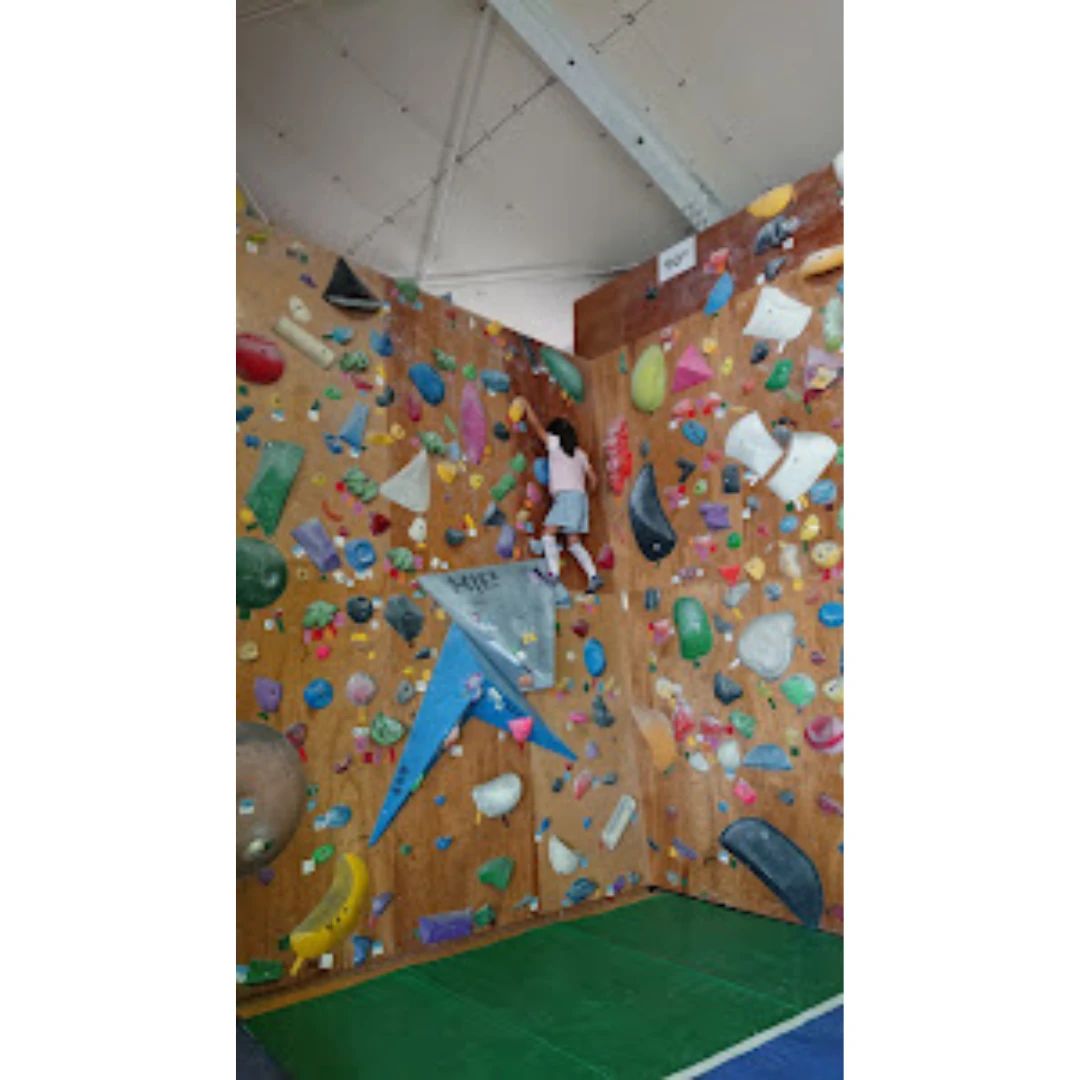 クライミングジムPOCKET(ポケット) 下小田中教室のメイン画像