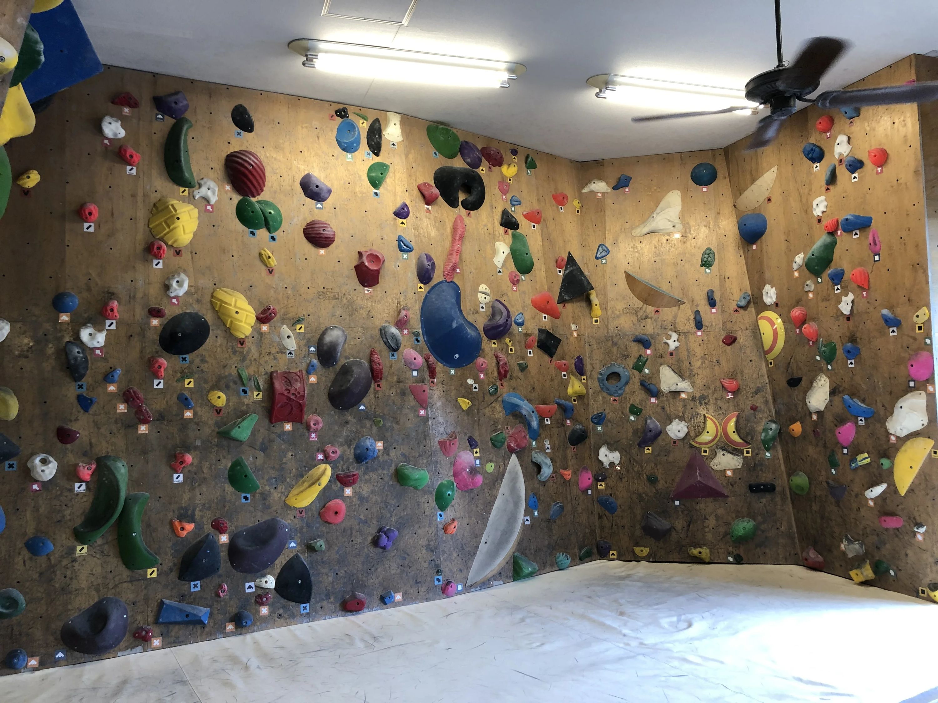 DOGWOODクライミングジム ボルダリング 高津店のメイン画像