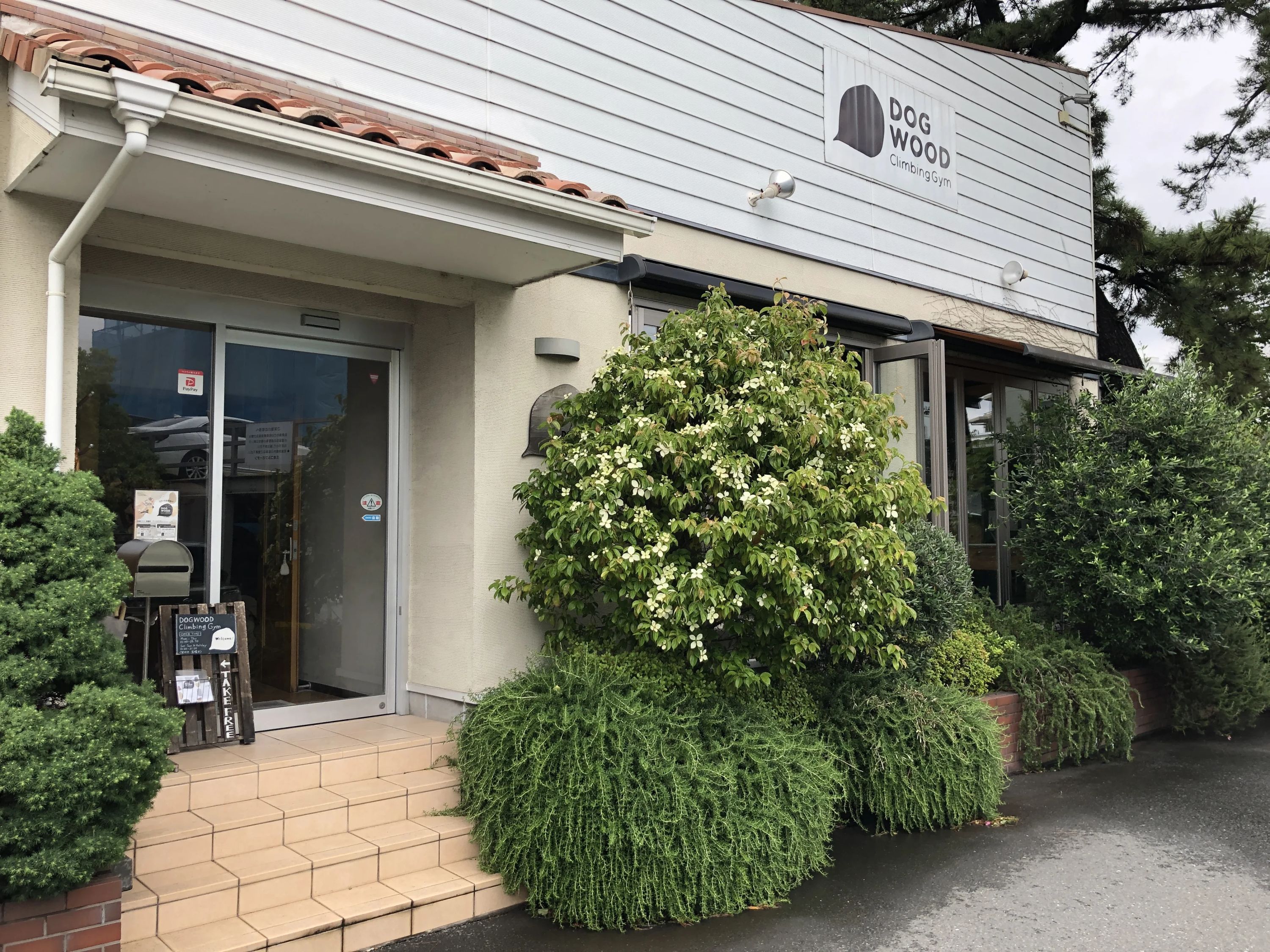 DOGWOODクライミングジム ボルダリング 高津店のサムネイル画像 3