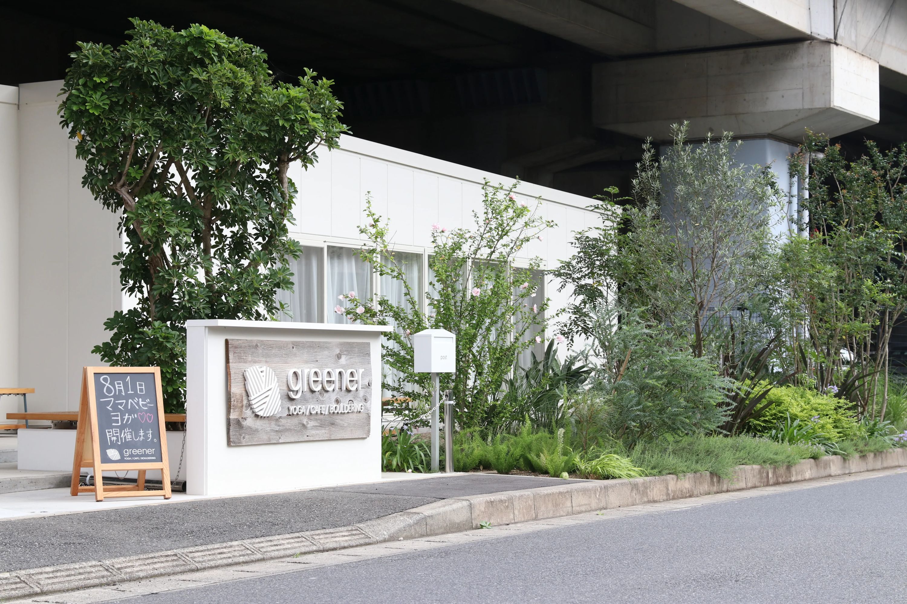 greener ボルダリング 妙典教室のサムネイル画像 2