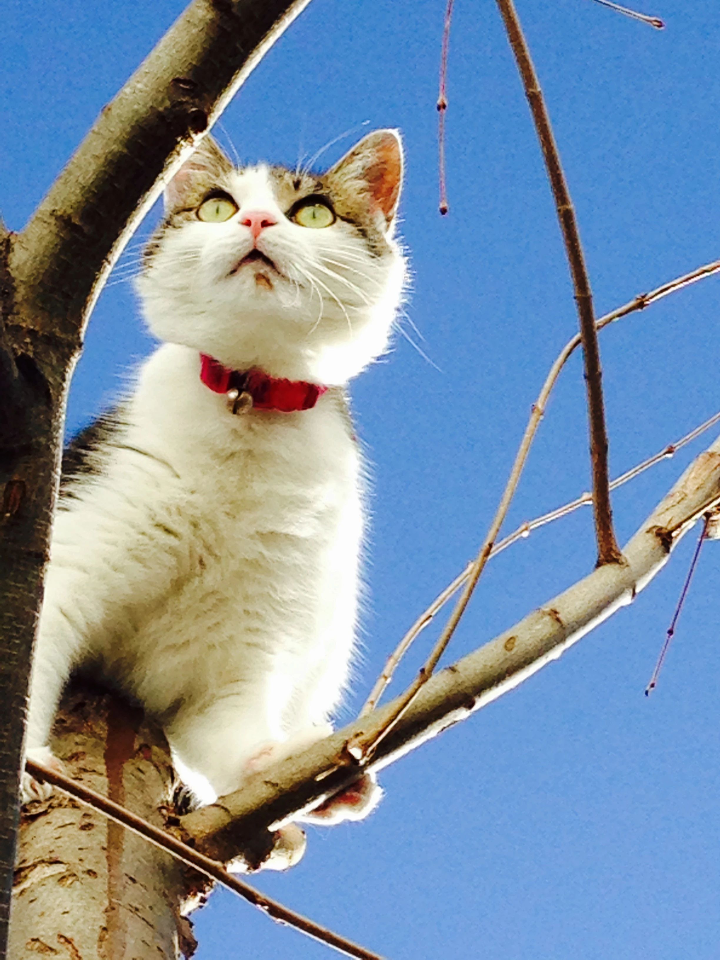 ロックジム ホリエ ボルダリング 寿中教室のメイン画像