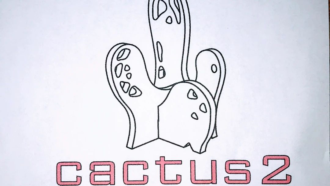 cactus2 (カクタス2） ボルダリング 神野新田教室のサムネイル画像 2