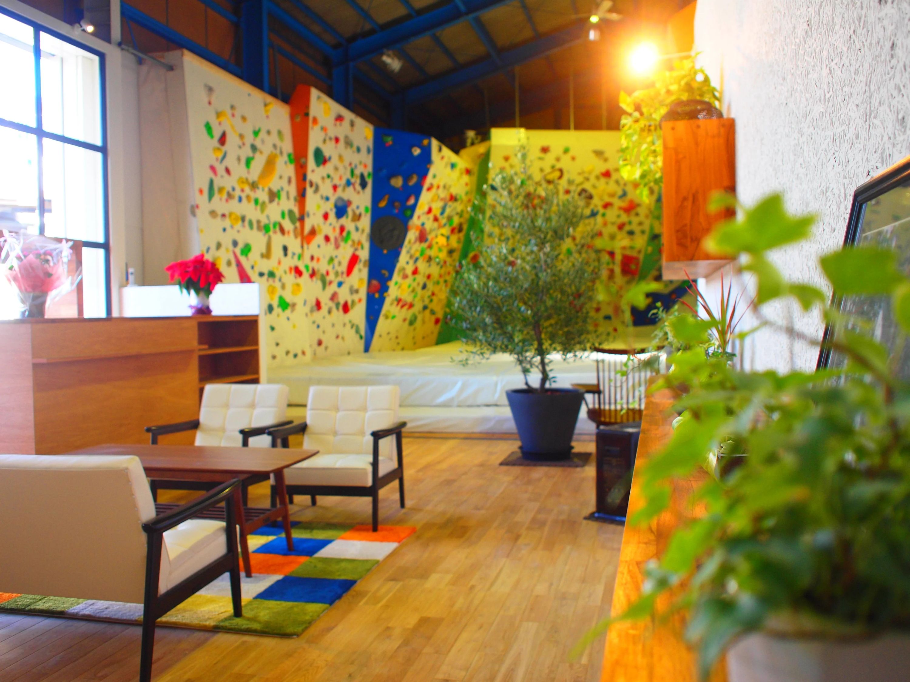 ぴなくる２ ボルダリング 豊田店のメイン画像