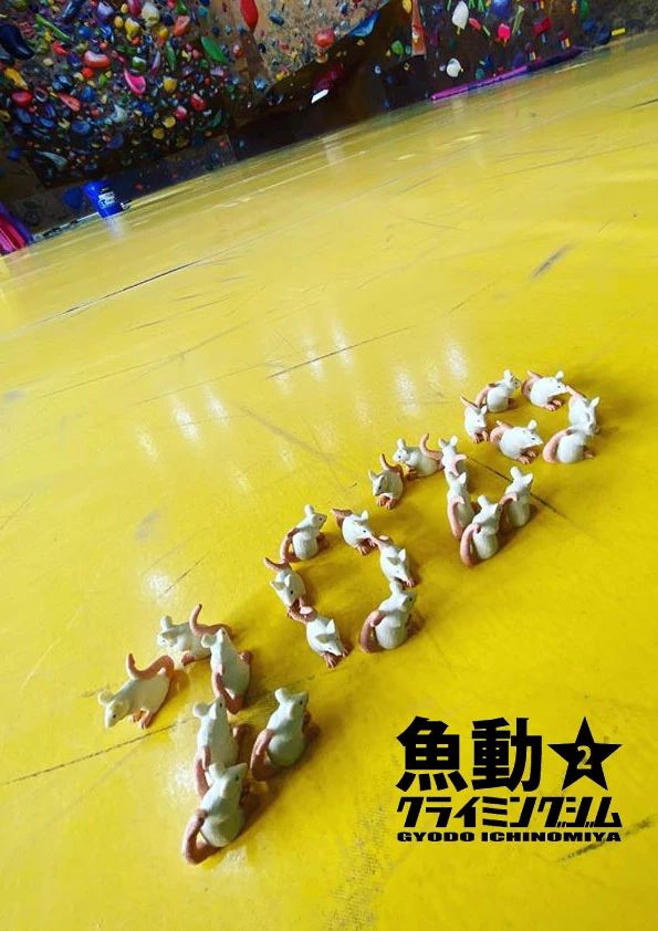 魚動クライミングジム２一宮 ボルダリング 水附教室のサムネイル画像 2