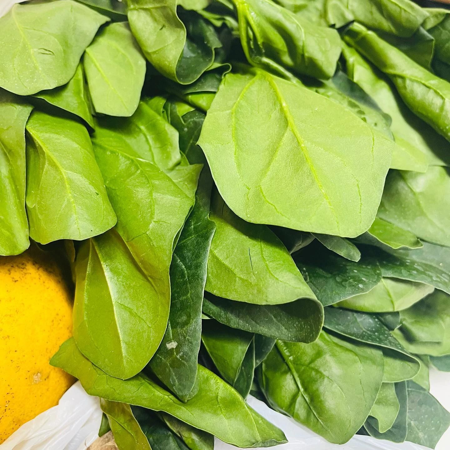 クライミングジムソレイユ ボルダリング 熊田教室のサムネイル画像 4