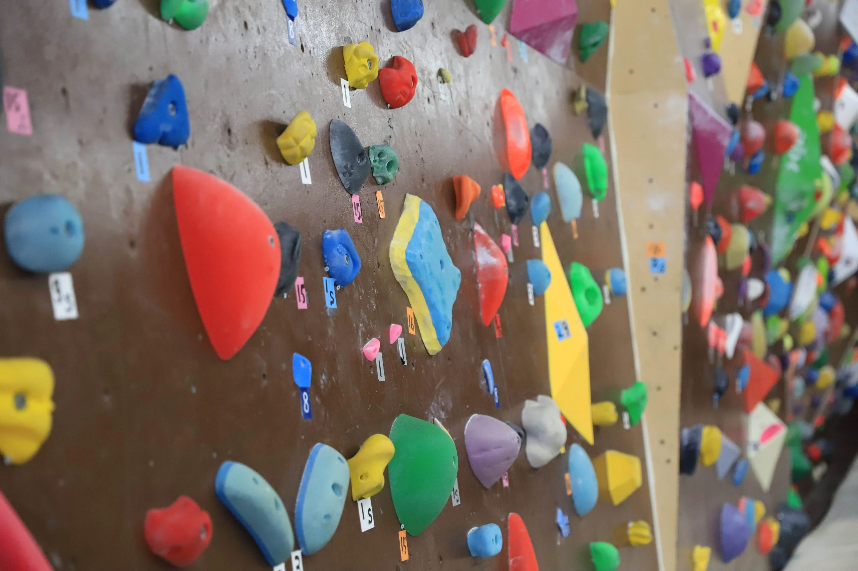 クライミングジム Scelta (シェルタ) ボルダリング 小泉教室のメイン画像