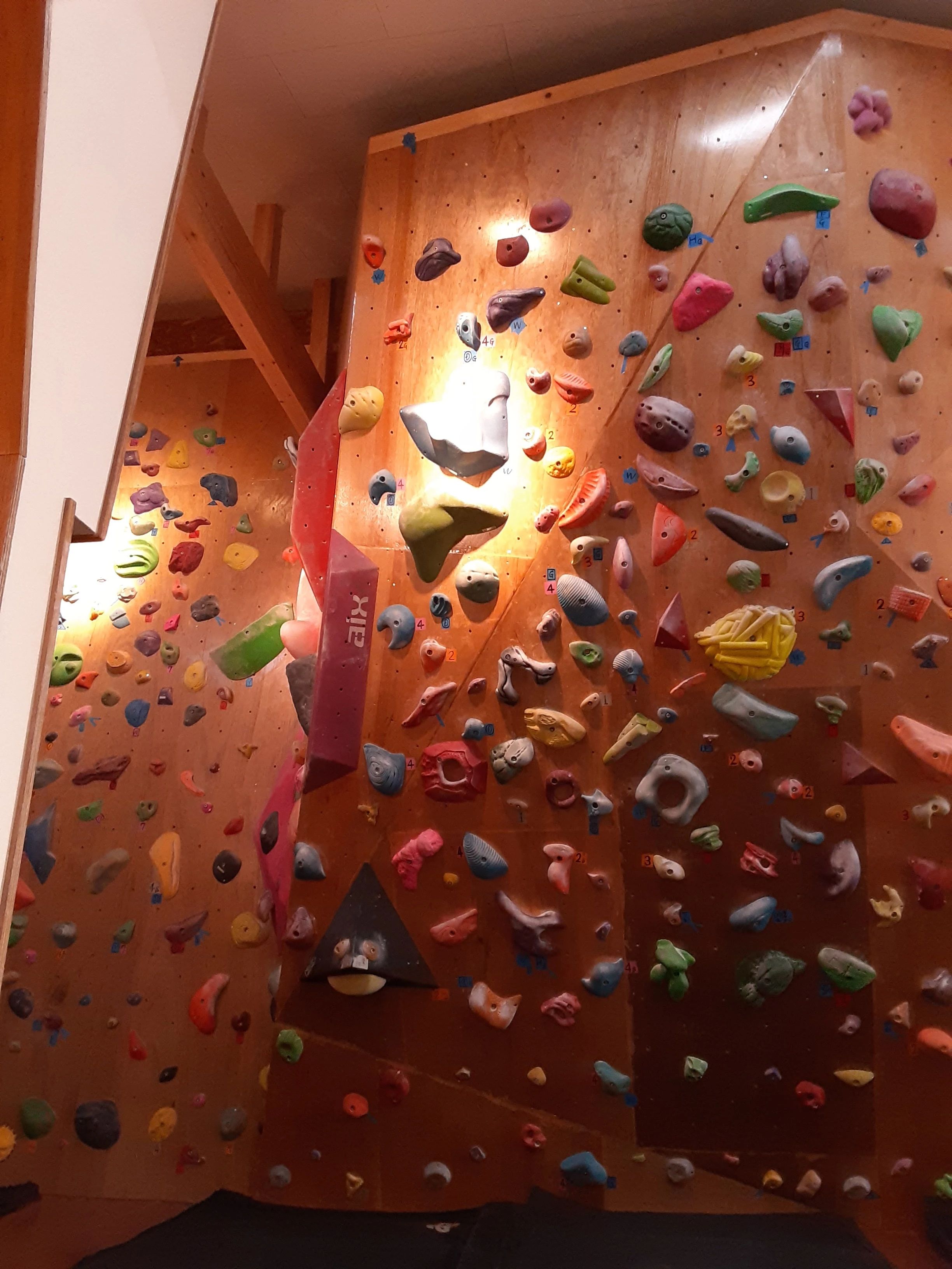 Bouldering studio Whistler 大久保教室のサムネイル画像 4