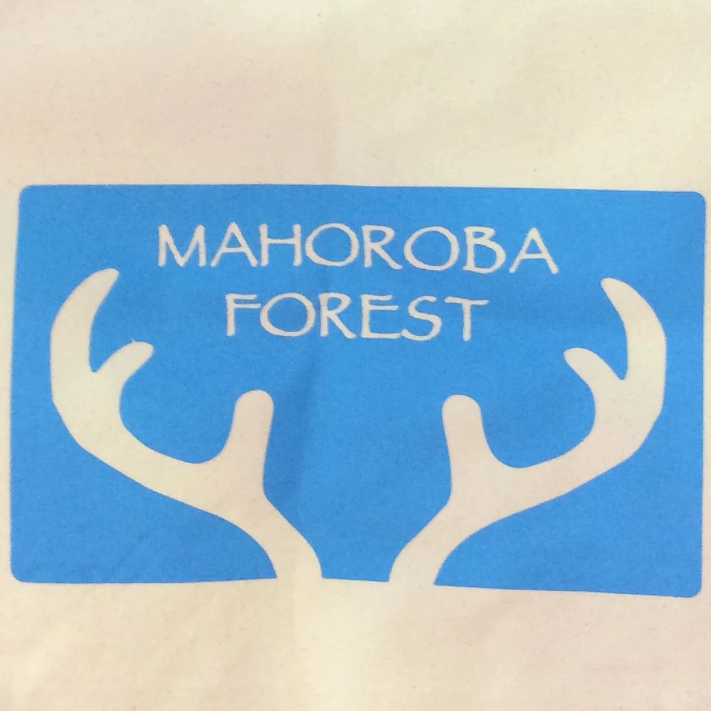 Mahoroba Forest Bouldering Space 筆ヶ崎教室のサムネイル画像 4