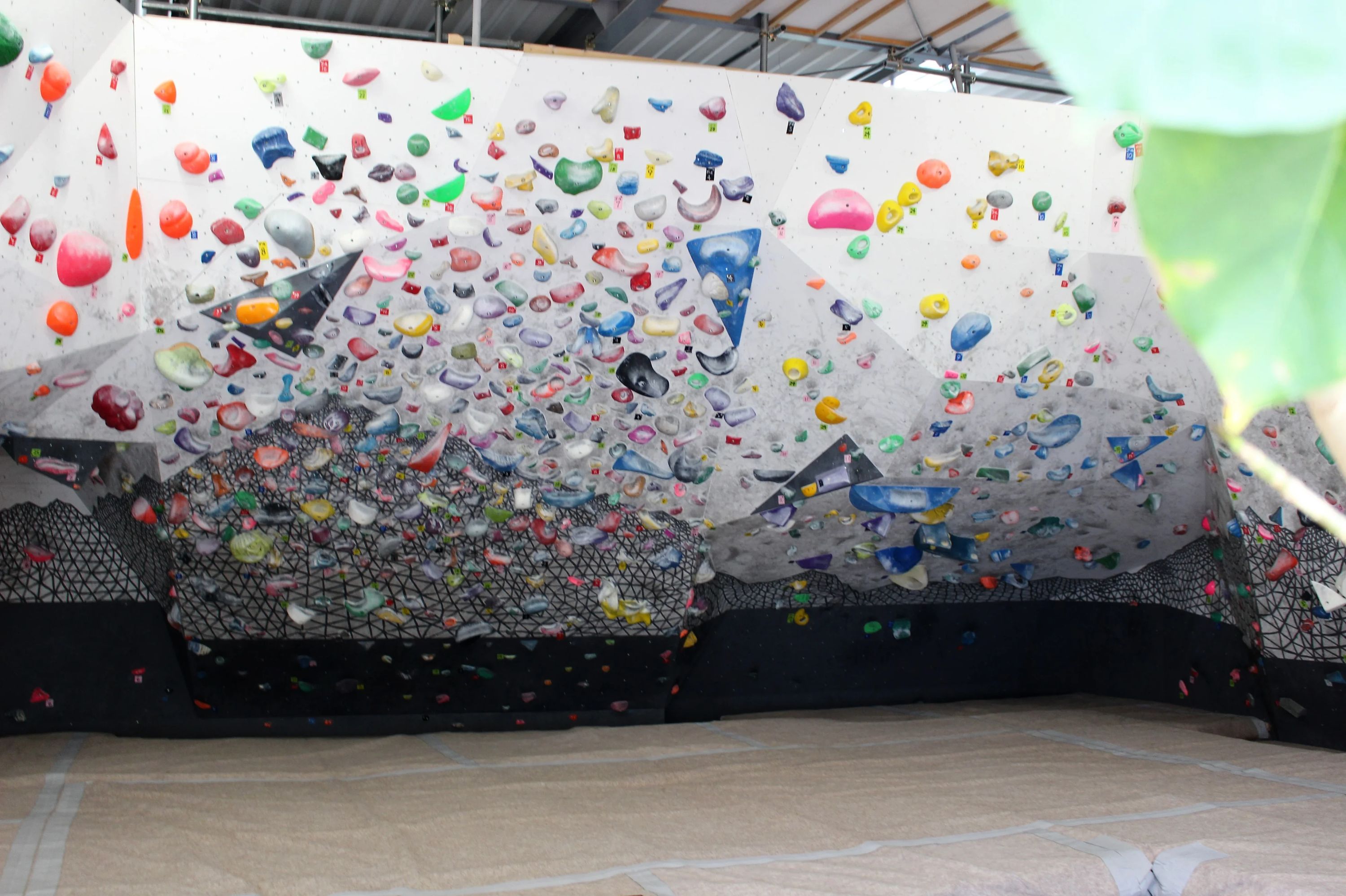 クライミングジム ガレーラ ボルダリング 三軒家東教室のサムネイル画像 2