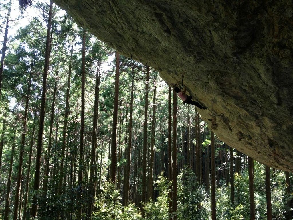 スハラ クライミングジム ボルダリング 宝塚店のサムネイル画像 2