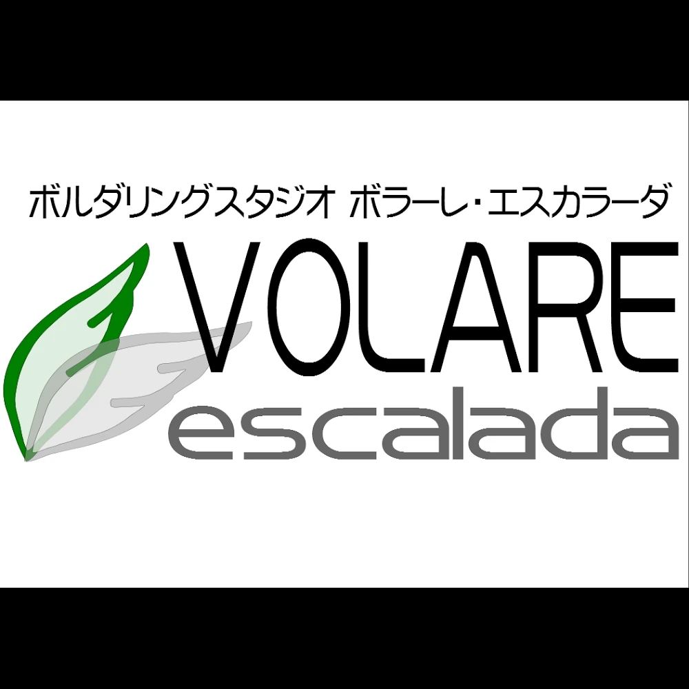 ボルダリングスタジオ VOLARE escalada（ボラーレ・エスカラーダ） 東園田教室のサムネイル画像 4