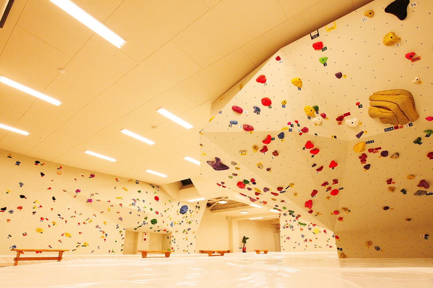Climbing Gym ADSUMMUM ボルダリング 西大路店のメイン画像