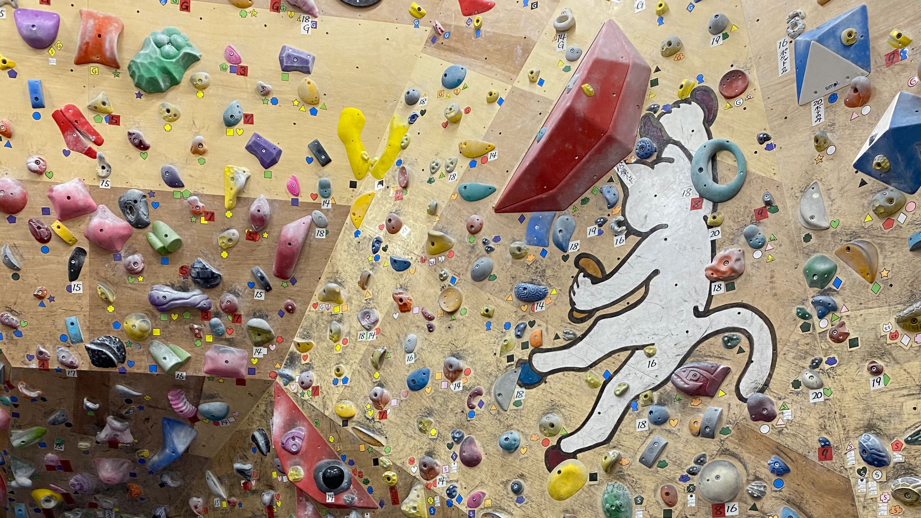 ボルダリングルームねこのて 地頭片山教室のサムネイル画像 3