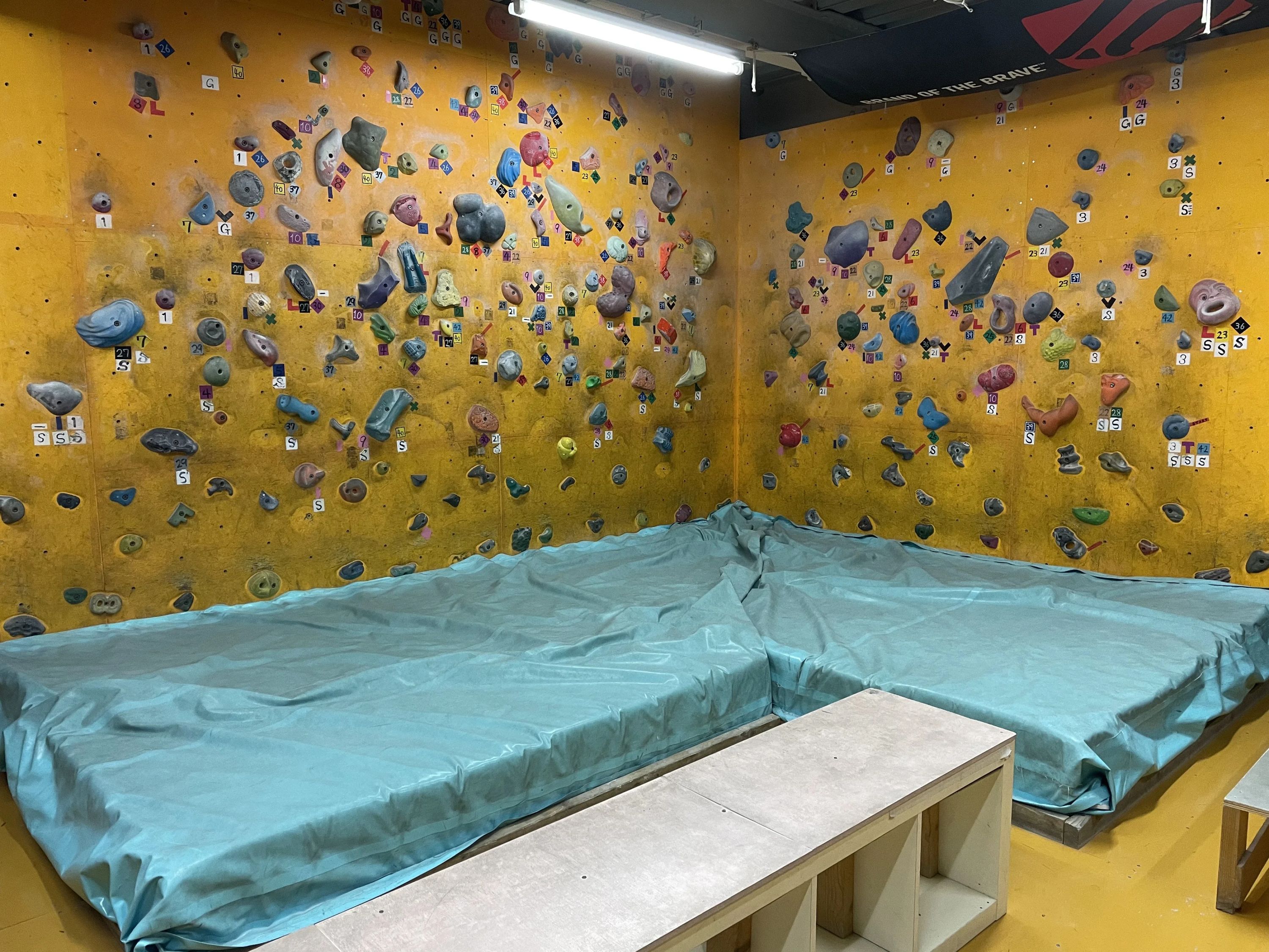 キオラブロズ ボルダリングジム[徳島県] 徳島店のサムネイル画像 3