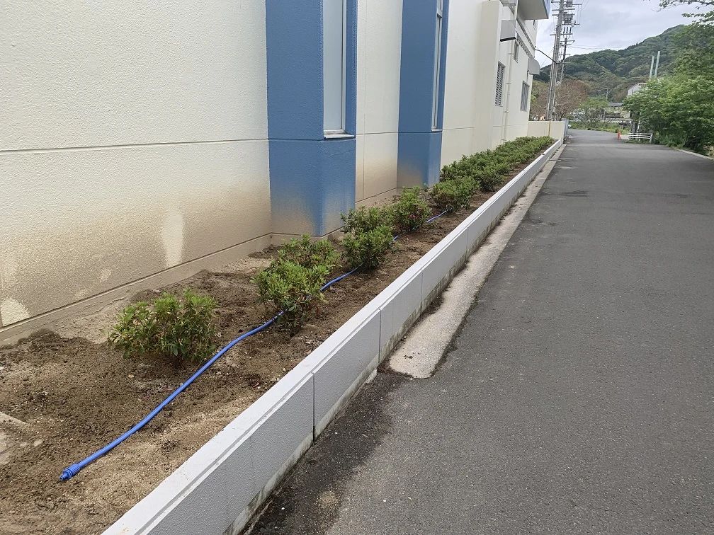 宇和島市スポーツ交流センター ボルダリング 長堀教室のサムネイル画像 3