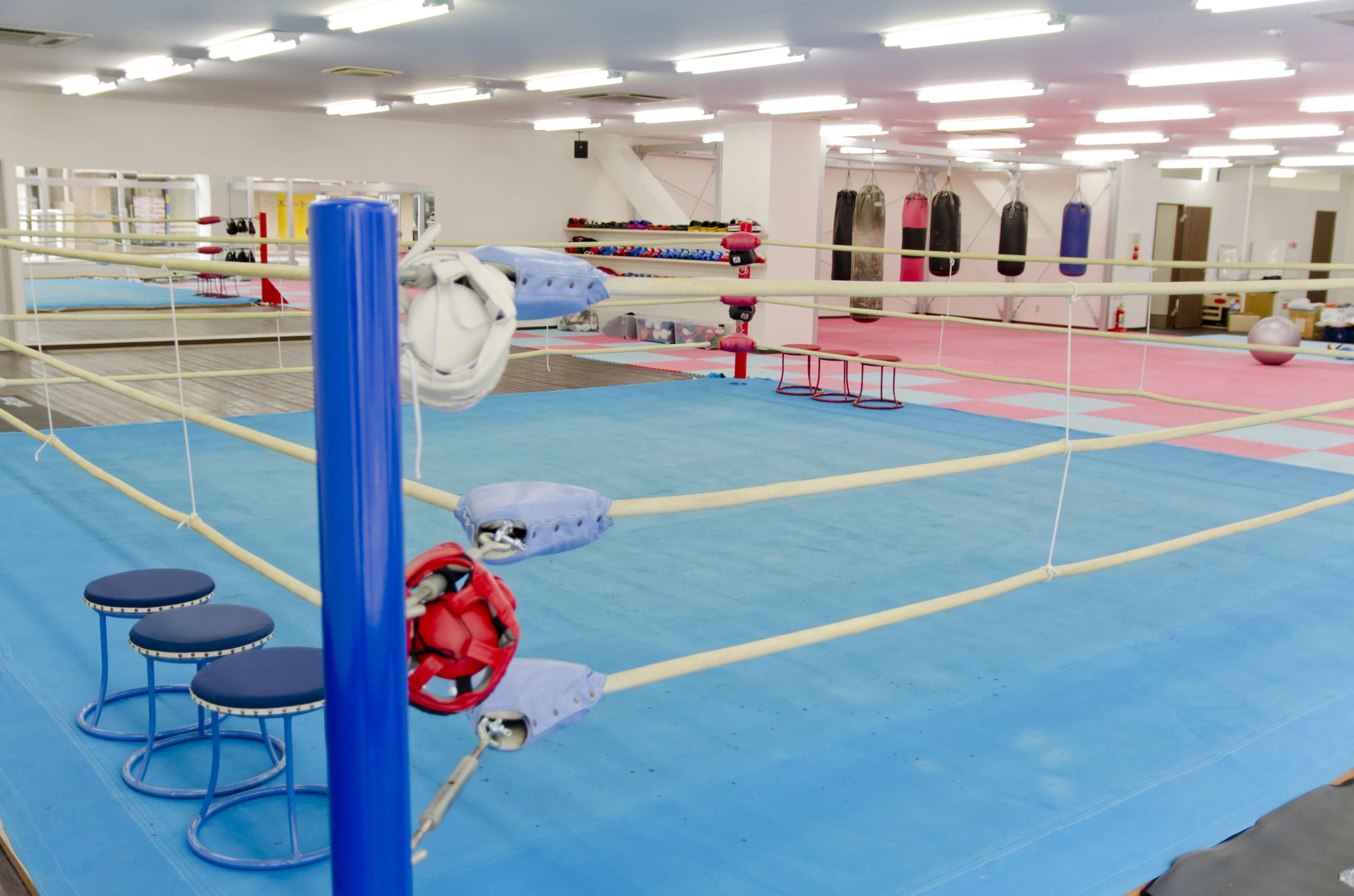 Champ(チャンプ) ボクシング 古川教室のメイン画像