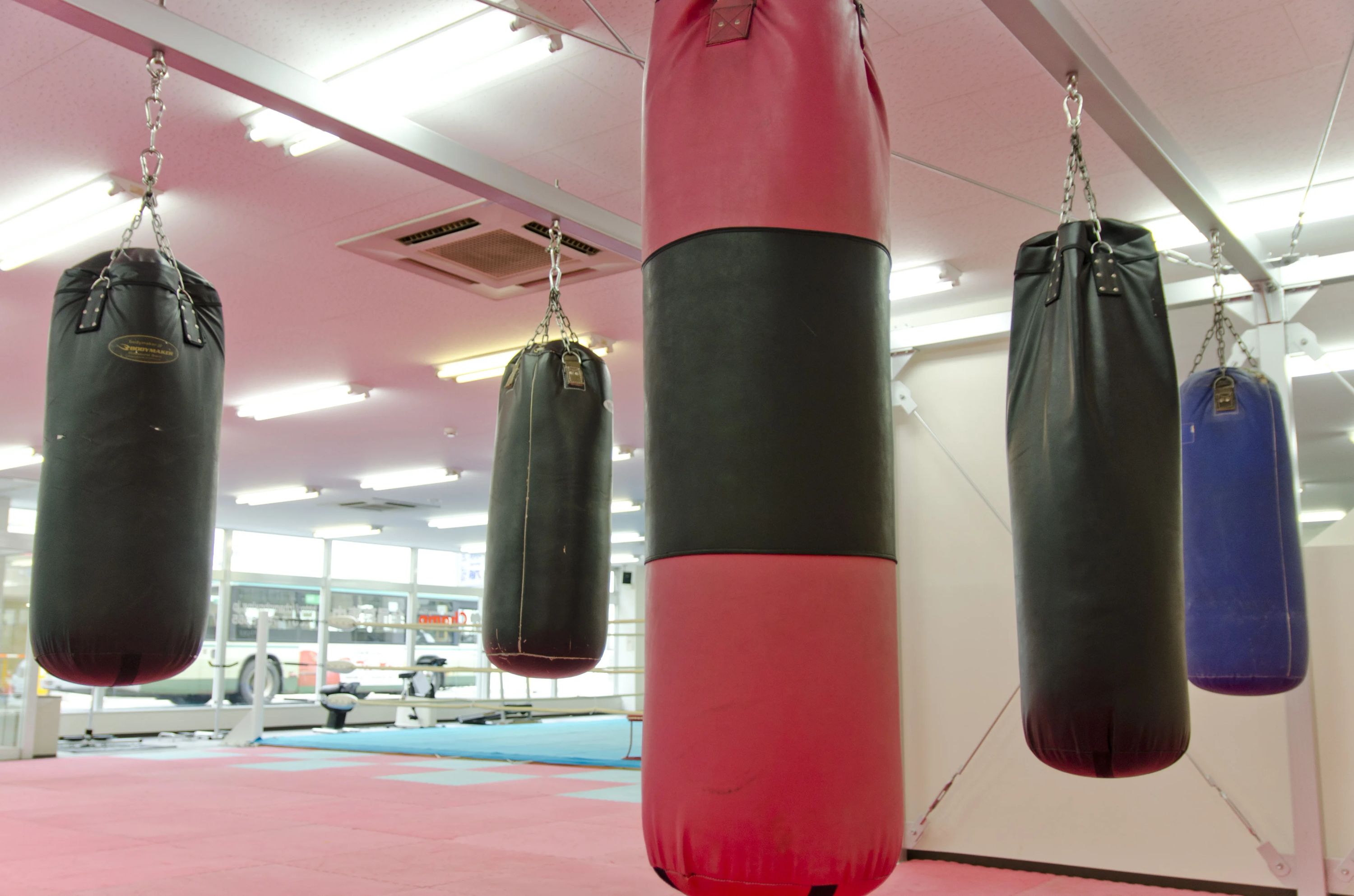 Champ(チャンプ) ボクシング 古川教室のサムネイル画像 2